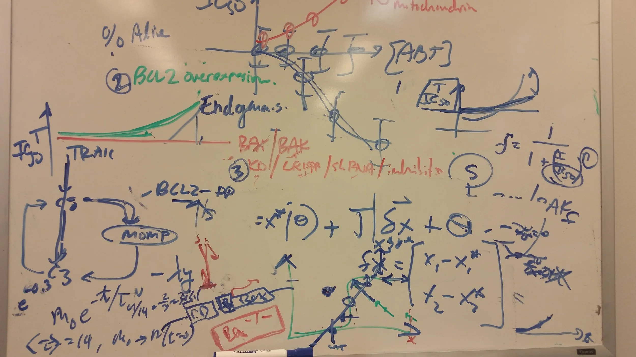 20160708_173451.jpg