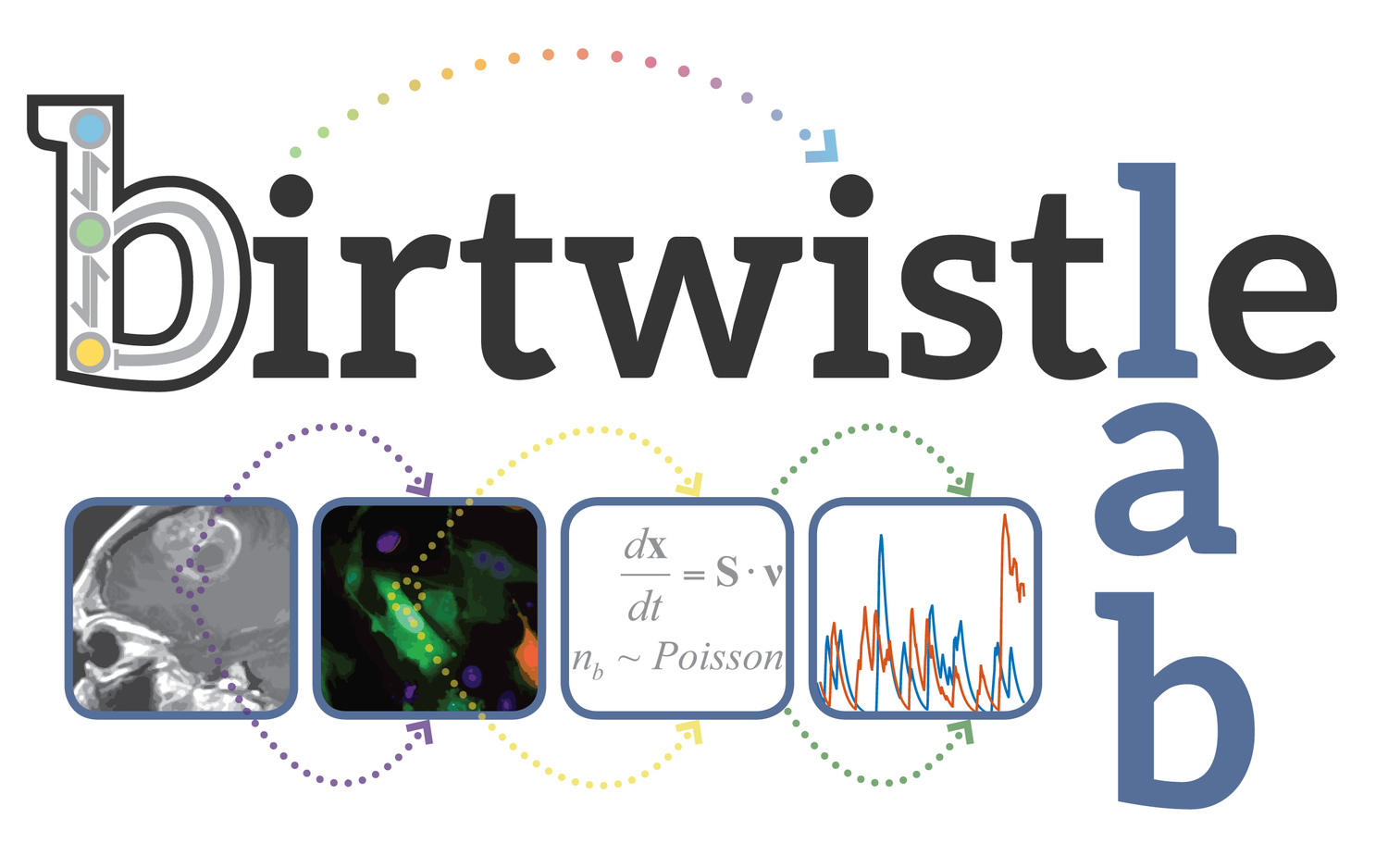 The Birtwistle Lab