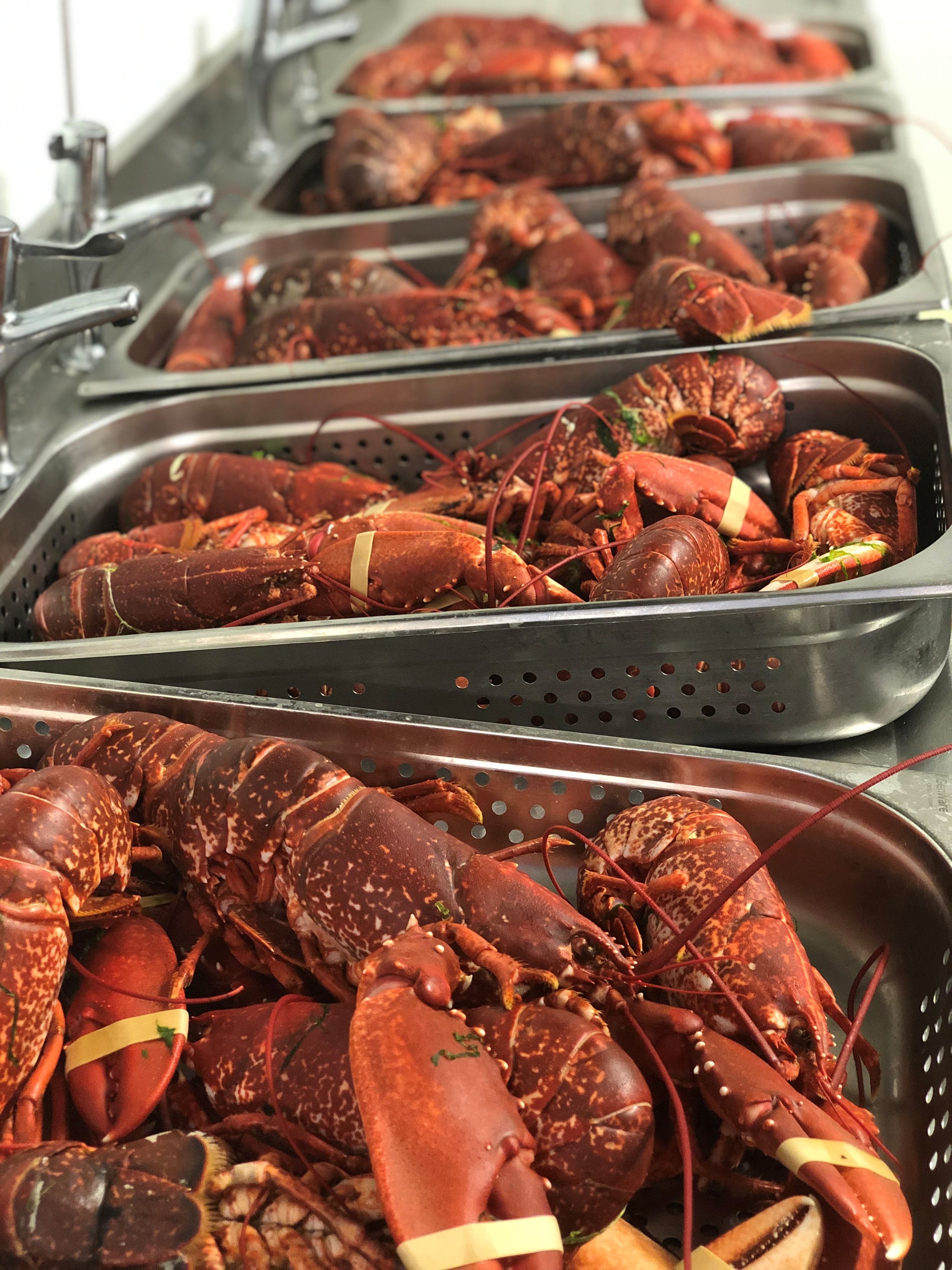 Gallery — The Fife Arms Turriff Scotland