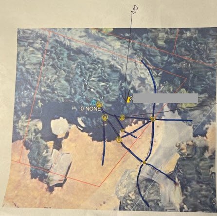 sample walruhe prelim.jpg