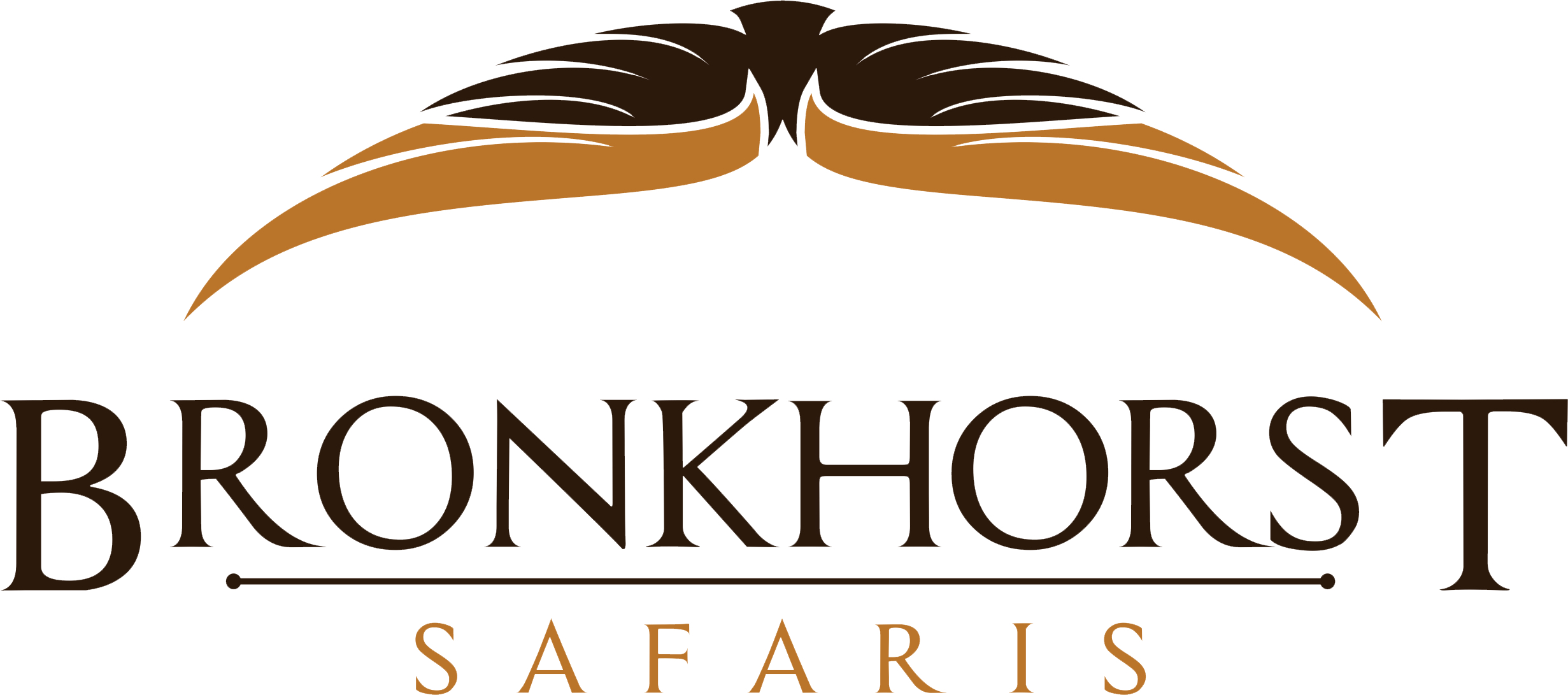 Bronkhorst New Logo.jpg