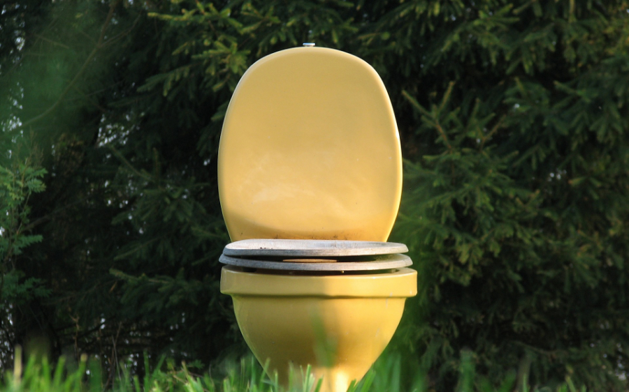 What does your urine say about you?