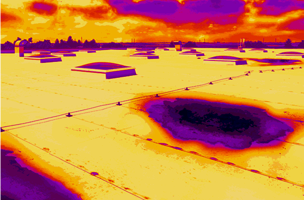 Crown-Roofing-Web-Infrared-2-1024x675.png