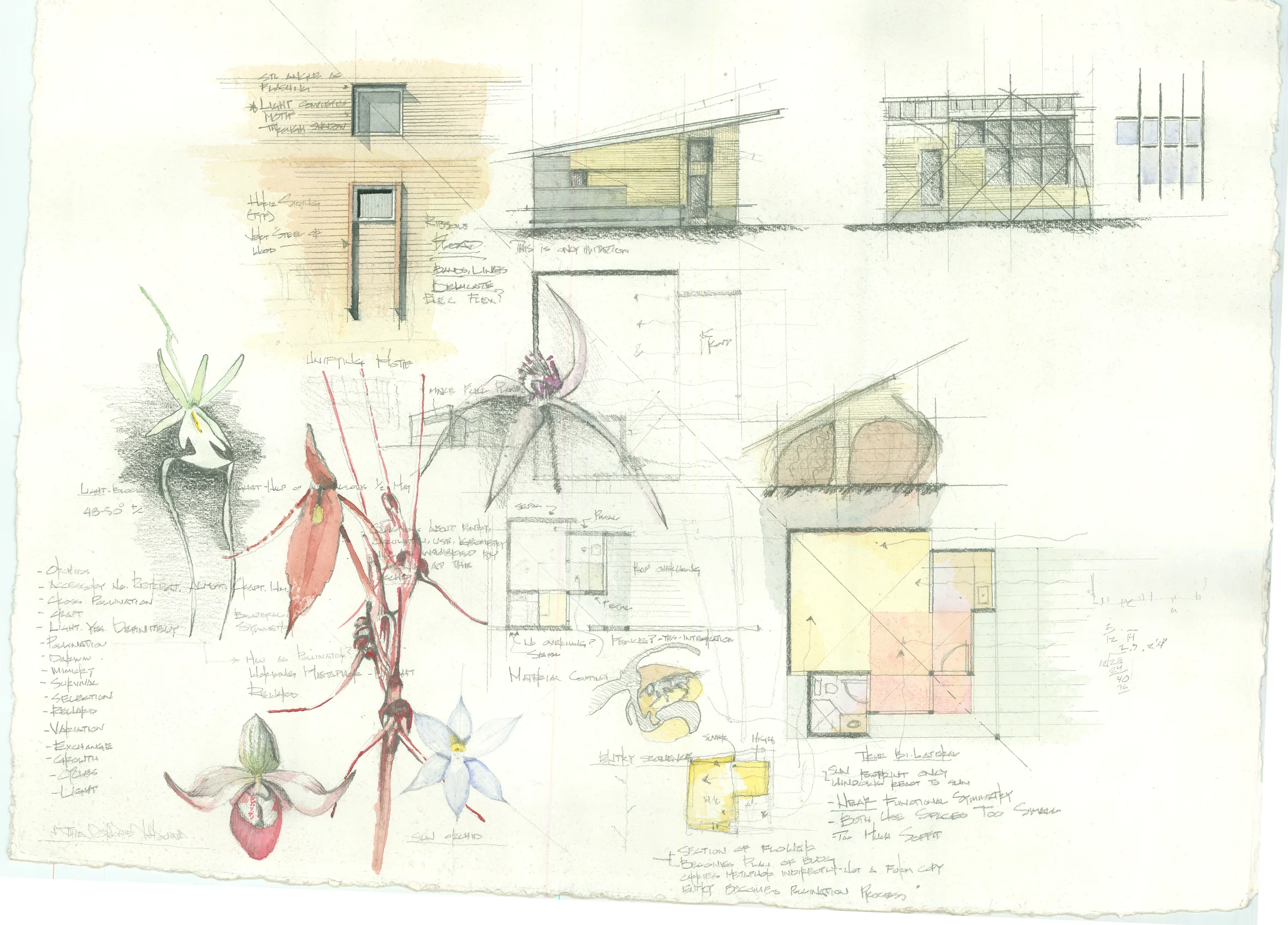 orchid board full-new web.jpg