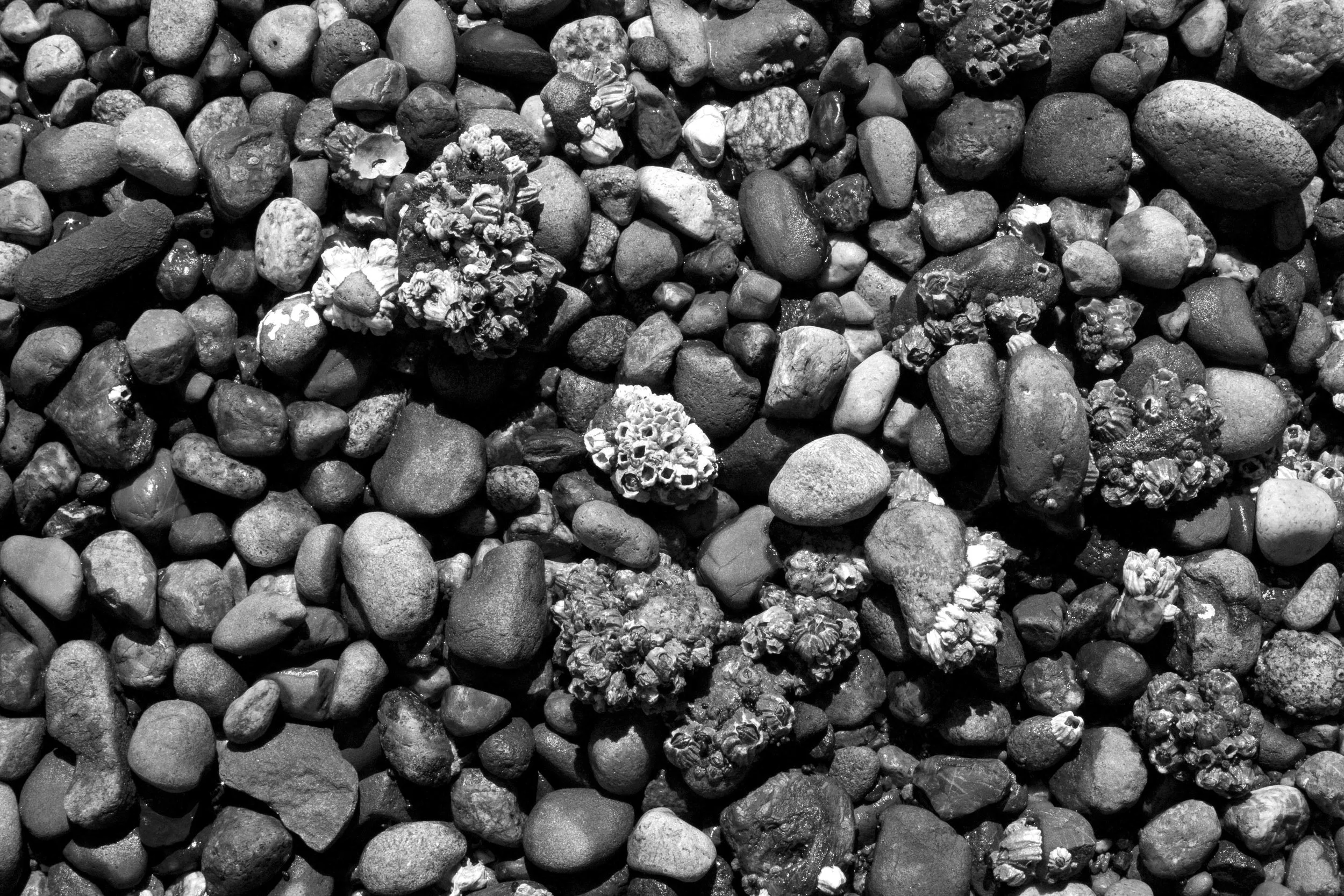 Beach Textures