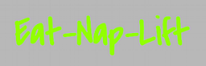 Screen Shot 2017-01-10 at 11.29.44 AM.png