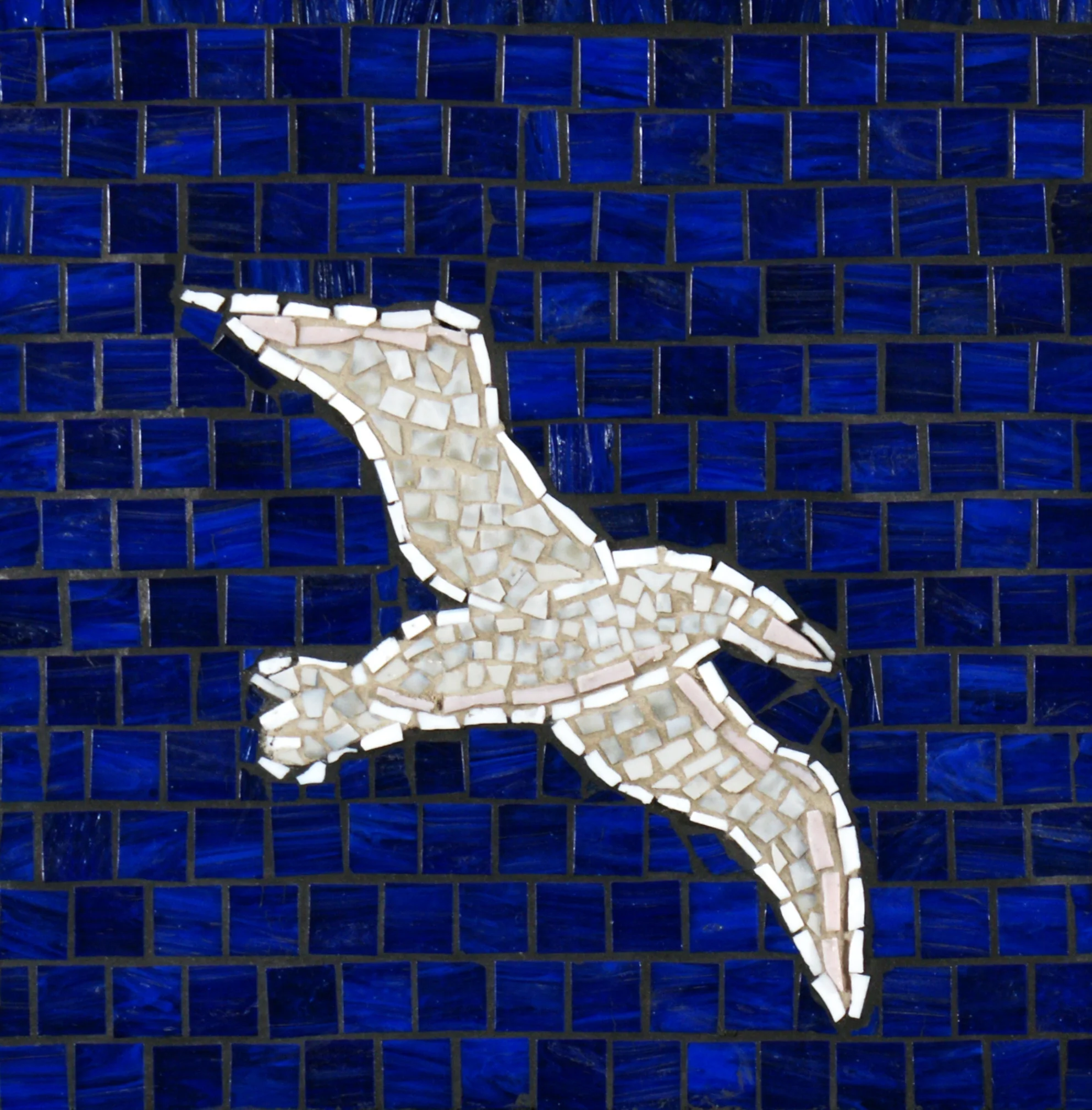 Sea Bird