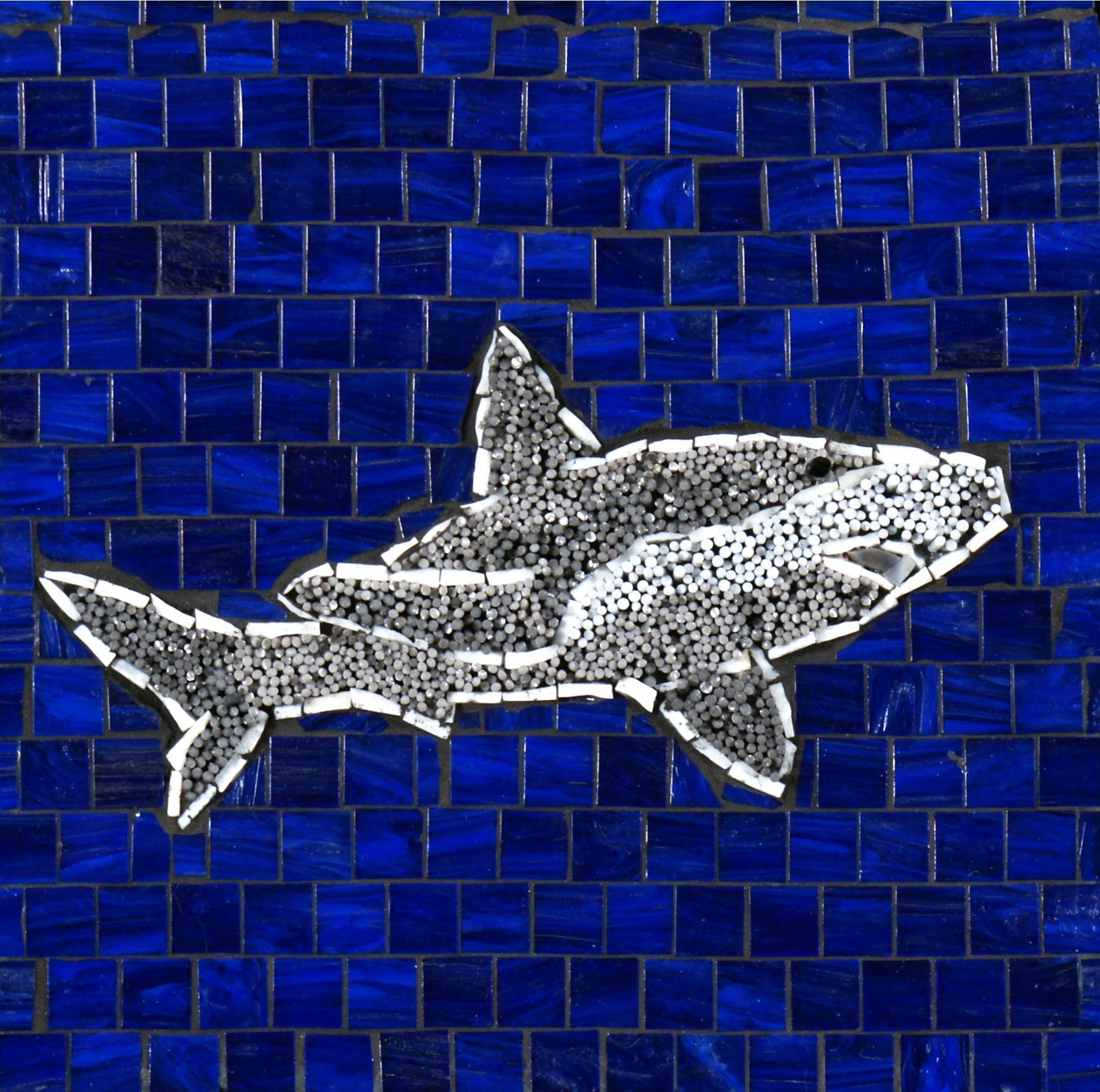 Shark