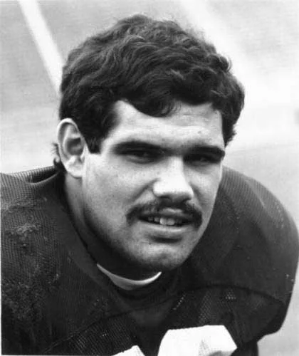 Matt Suhey, NFL
