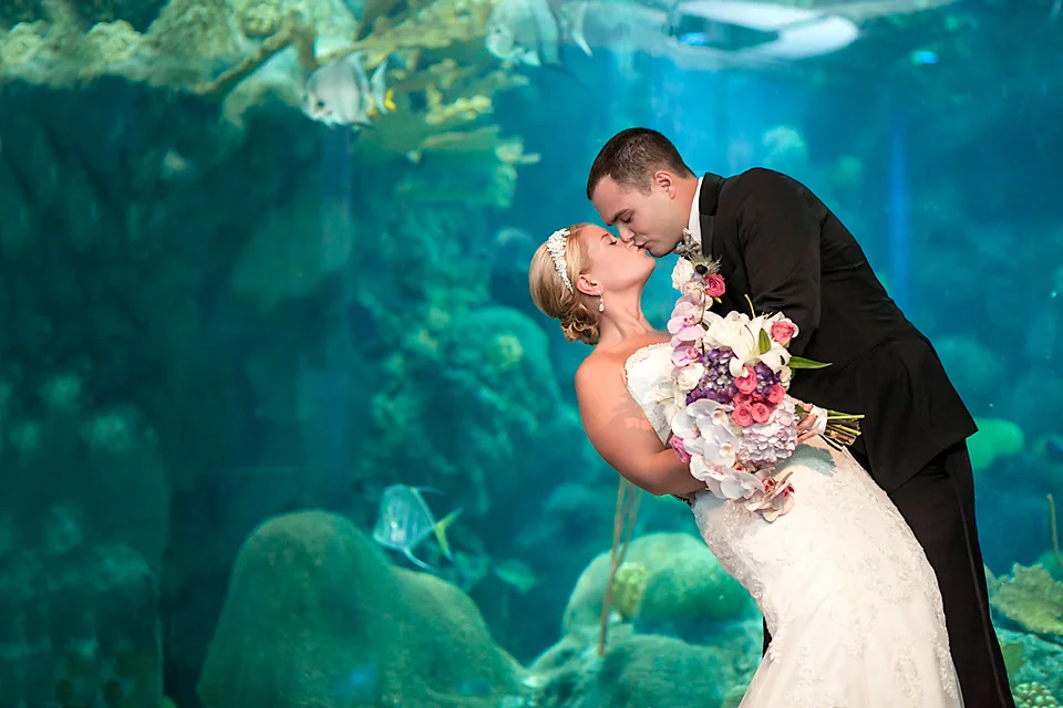 The Florida Aquarium Wedding | Tampa, Florida | L & T