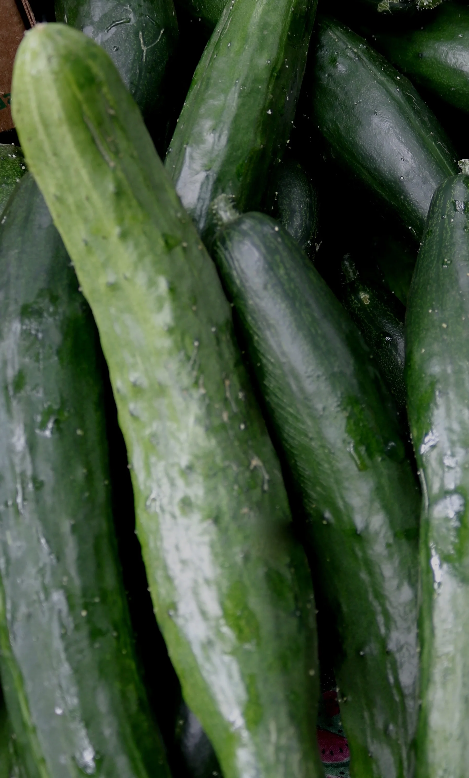 cucumbers at the market 
