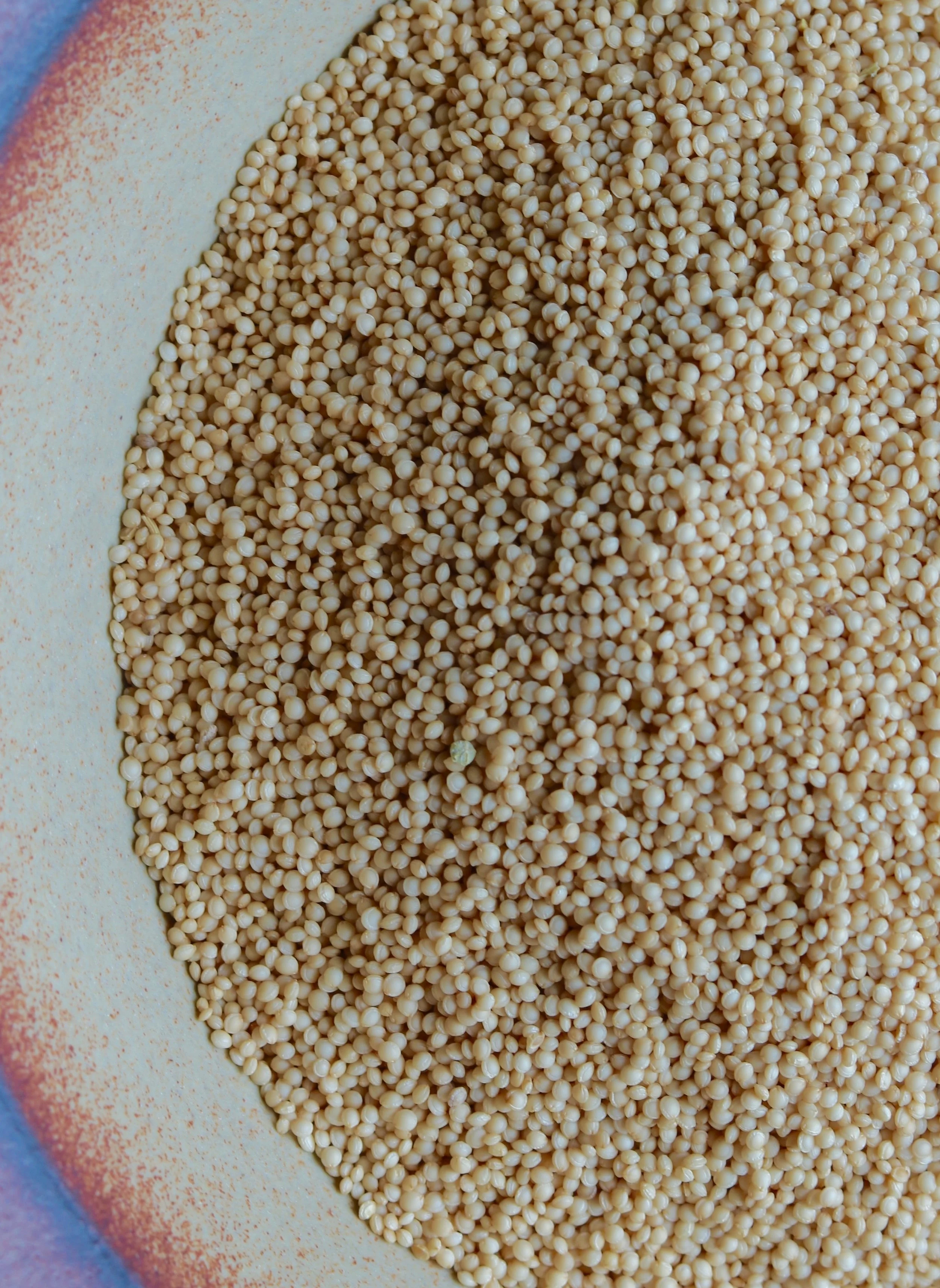 Amaranth Grains 