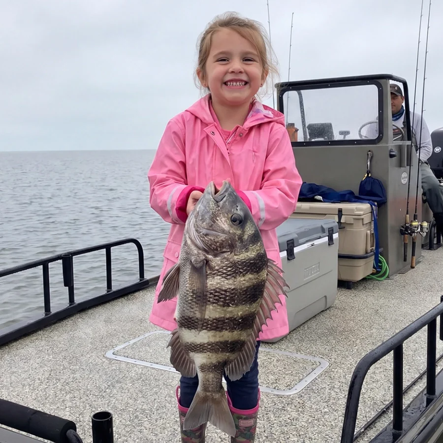 child with a sheephead fish