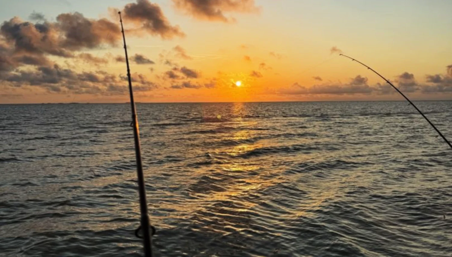 fishing rods