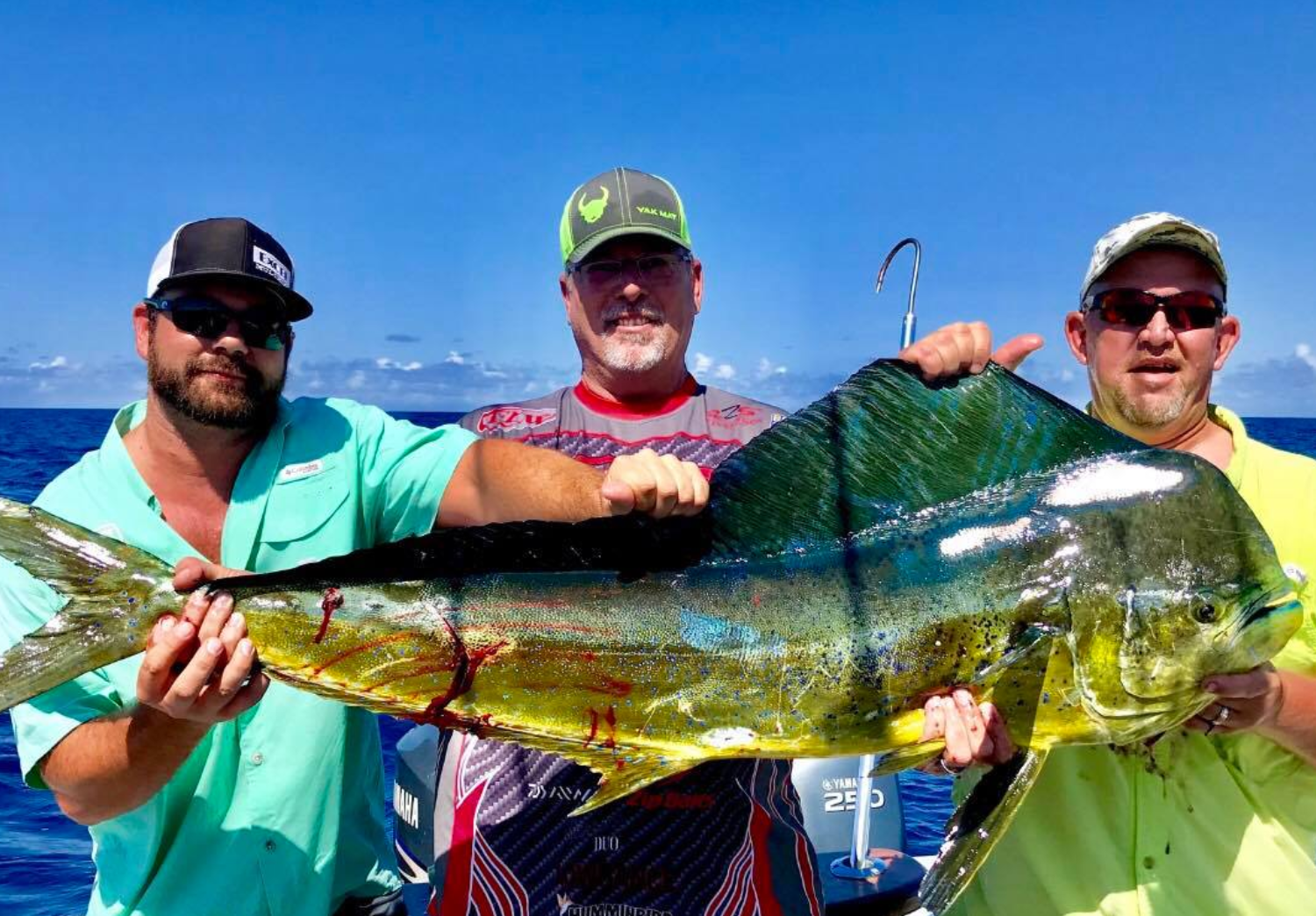 mahi mahi