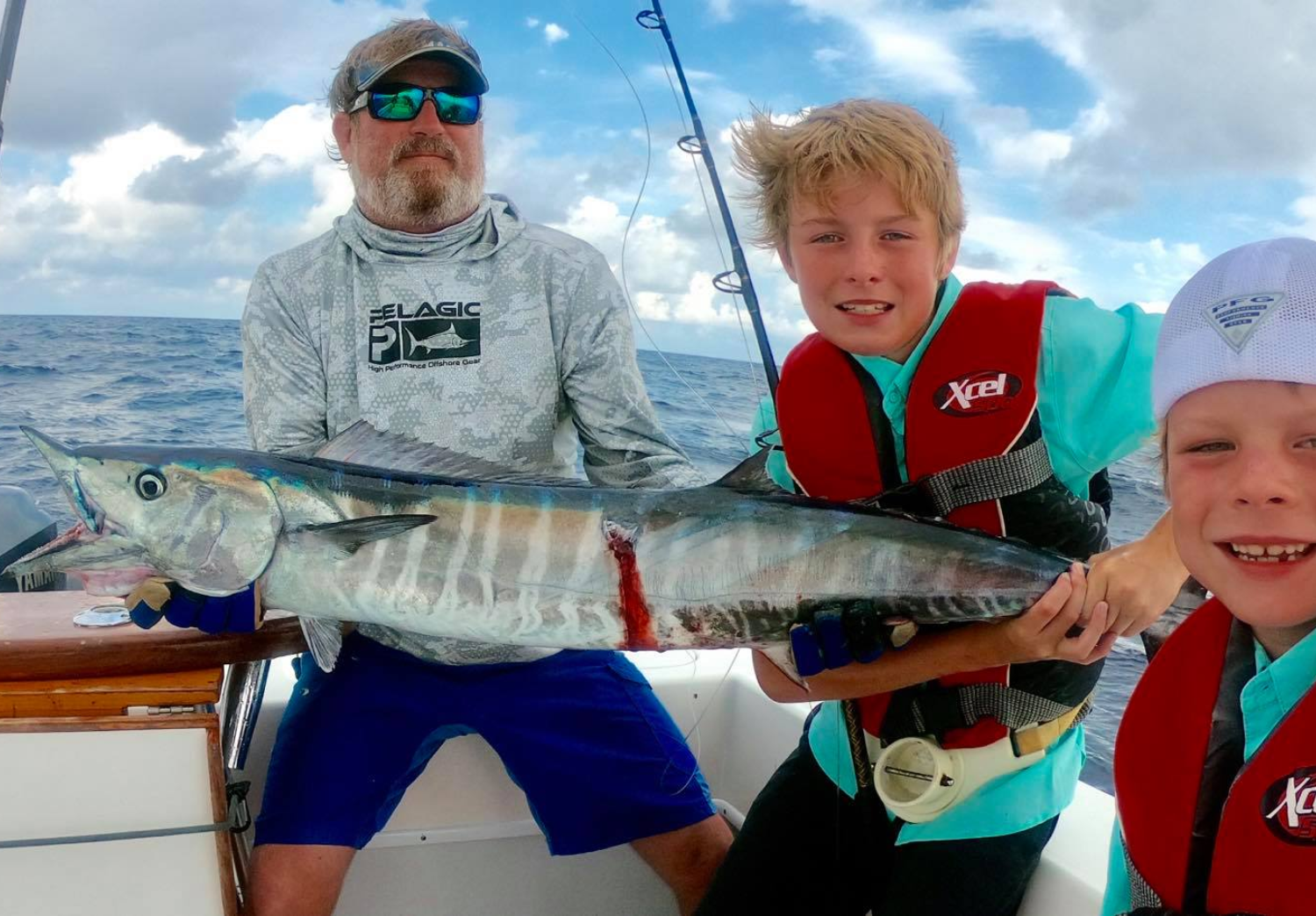 spanish mackerel