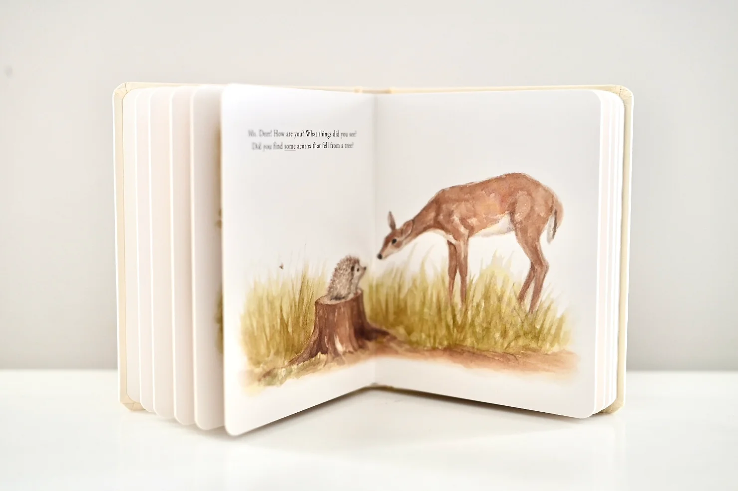 our-little-adventures-book_by-tabitha=.png