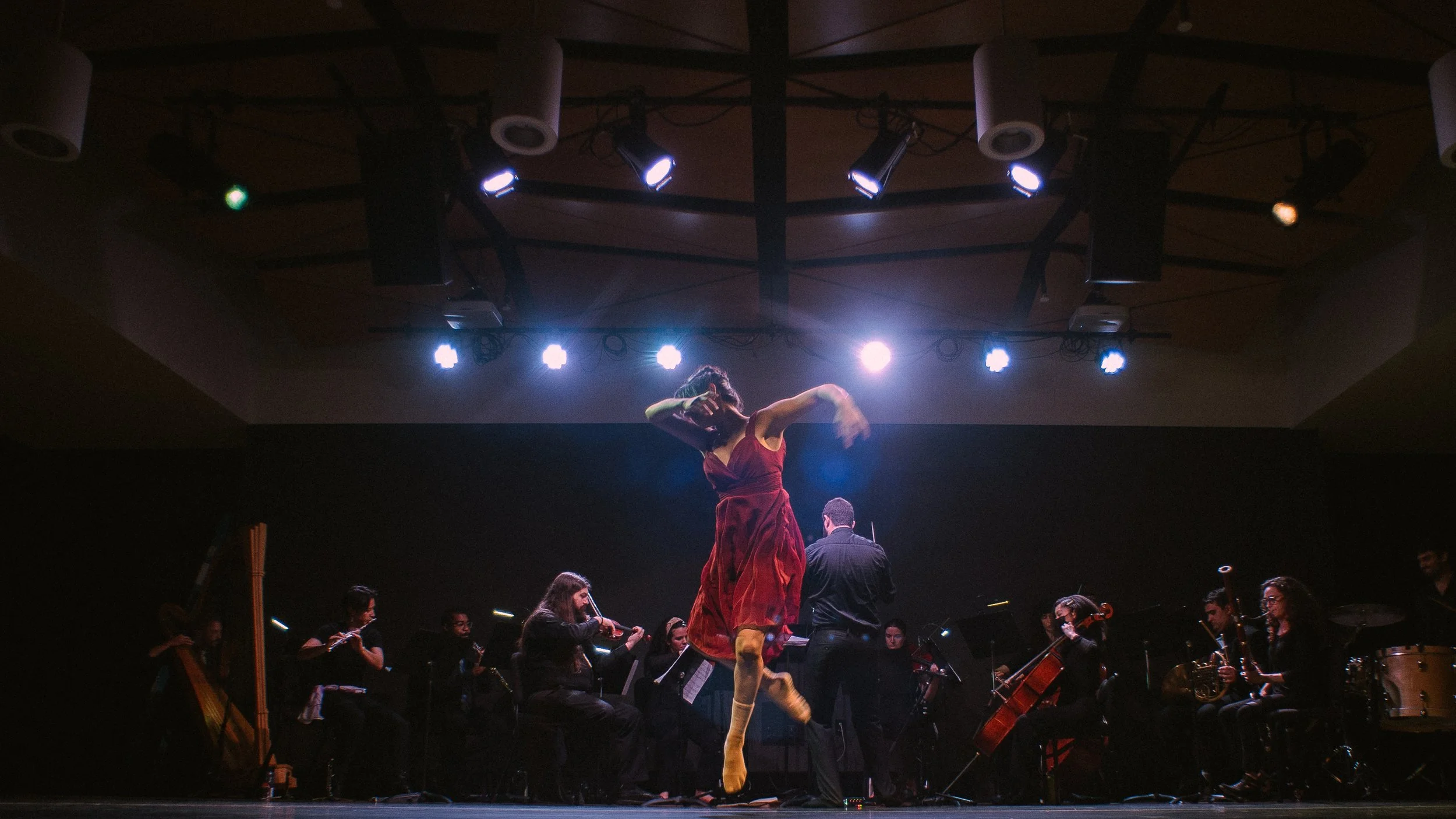 _DSC2266.jpeg