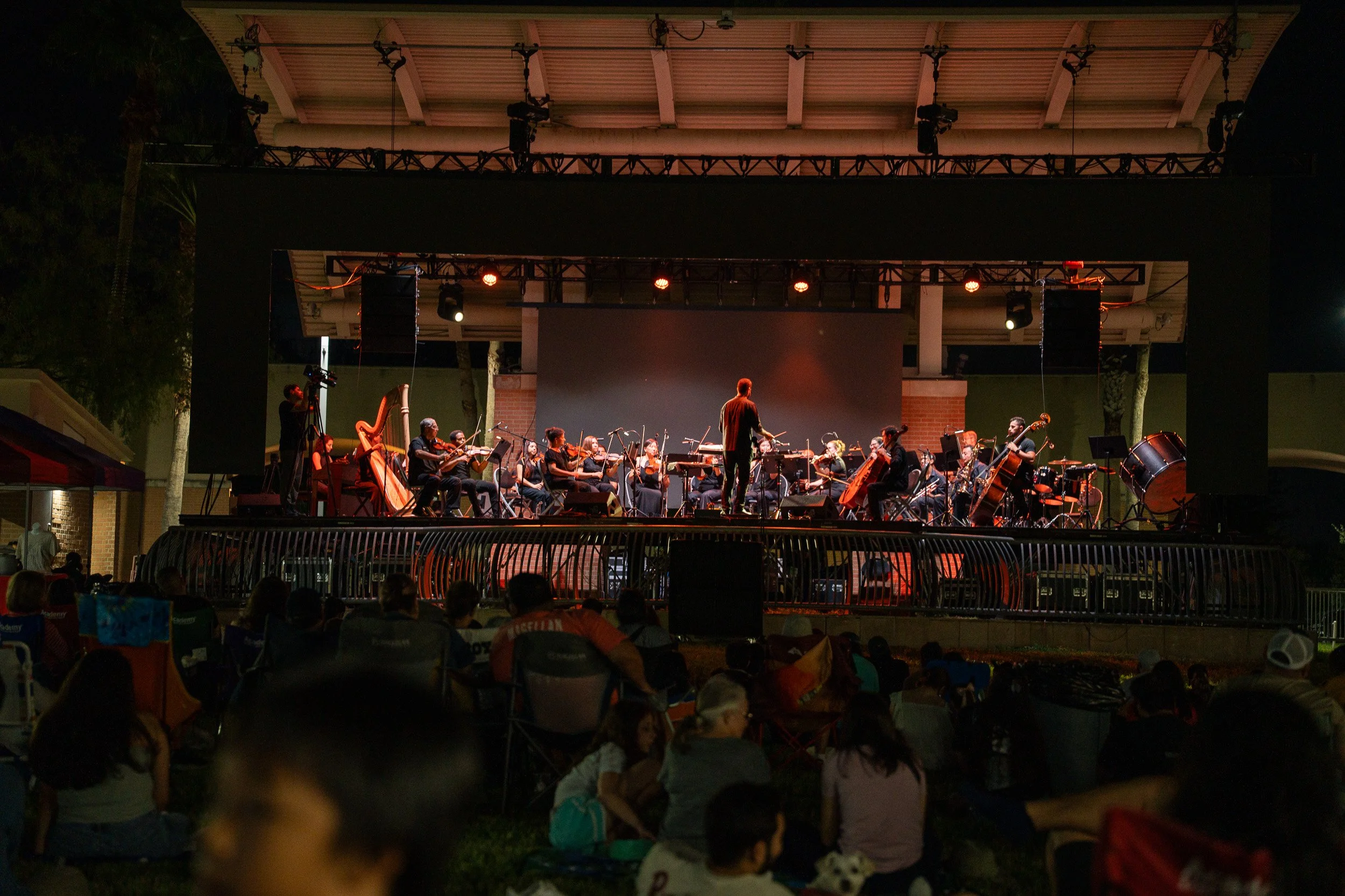 Valley Symphony Orchestra: Symphony in the Park