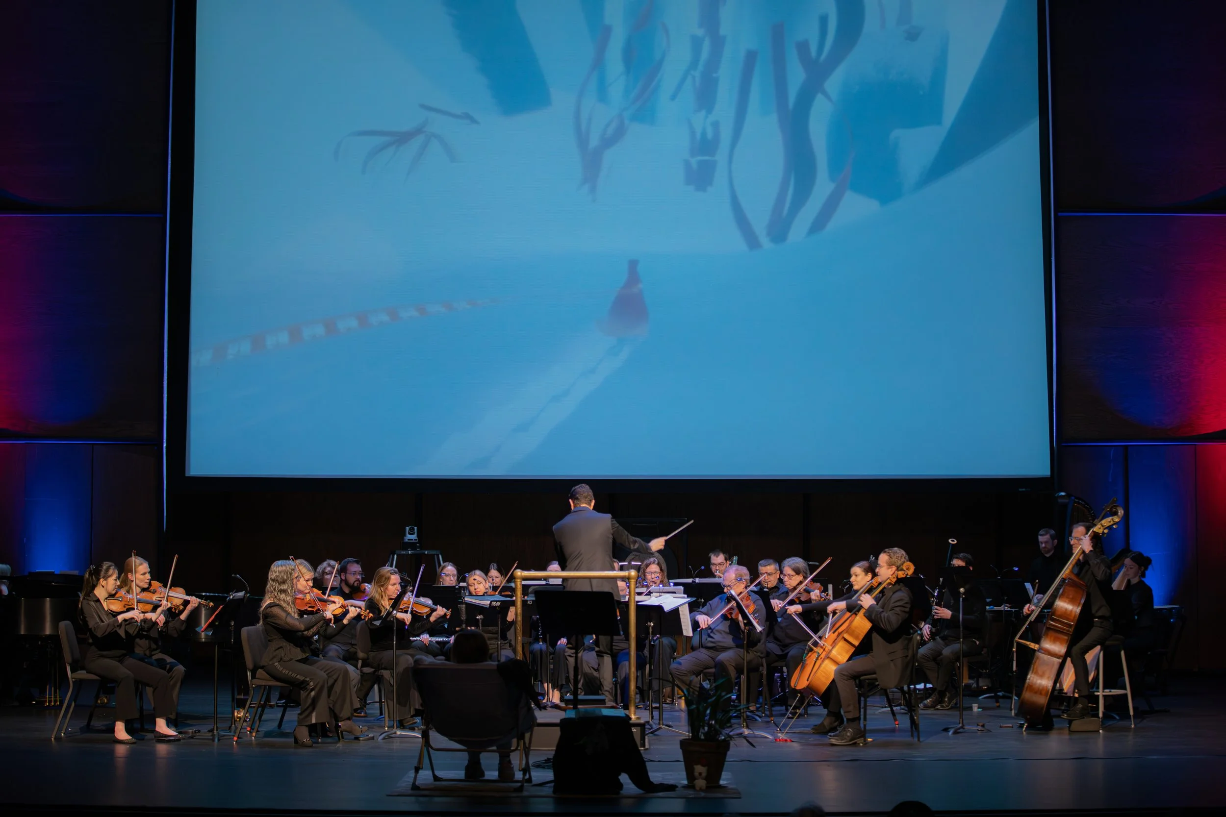 Paducah Symphony Orchestra: The Art of Video Game Music