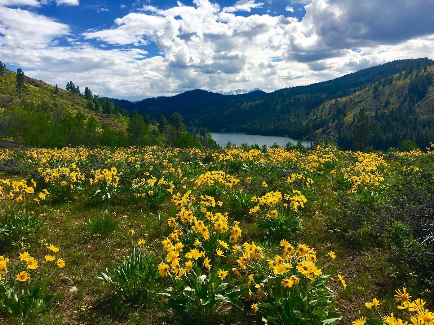 view-of-lake-patterson.jpg