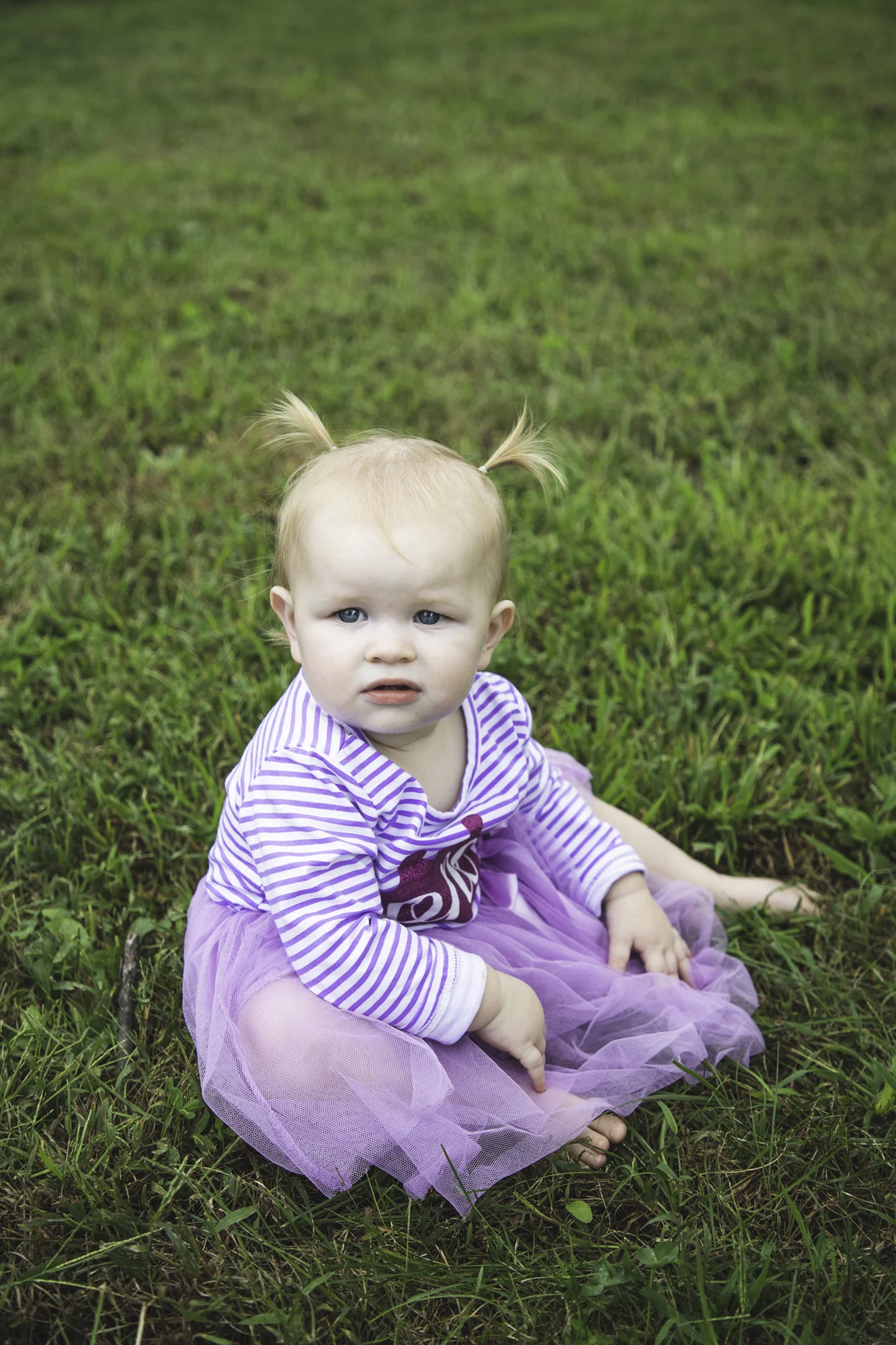 IMG_1627_2000px height and 150 ppi.jpg