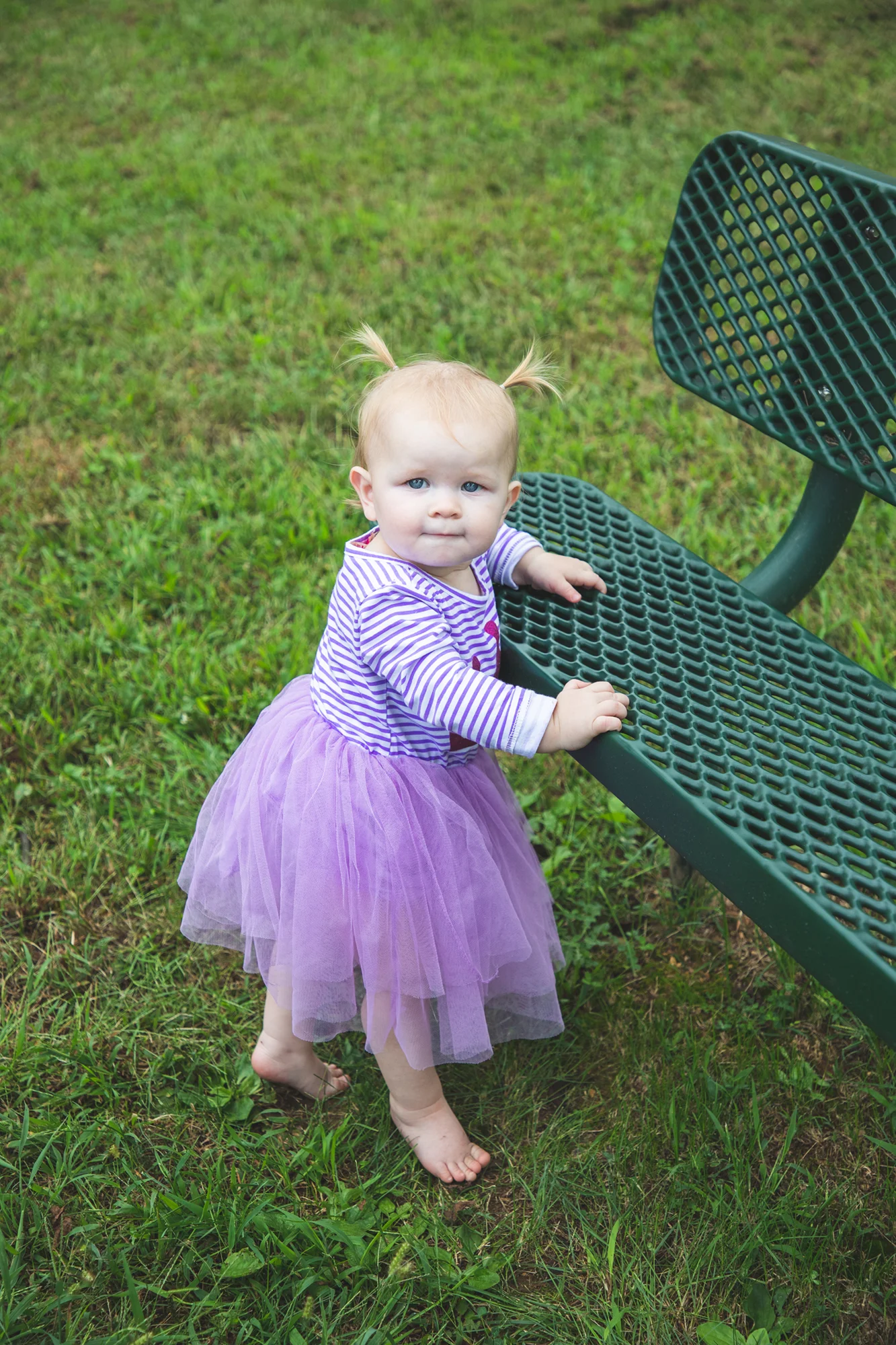 IMG_1659_2000px height and 150 ppi.jpg