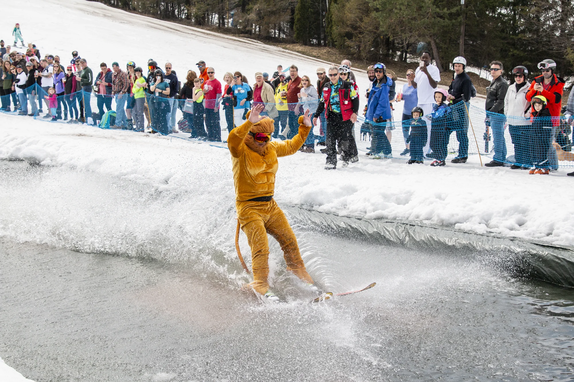 IMG_0693_2000px width and 150 ppi.jpg