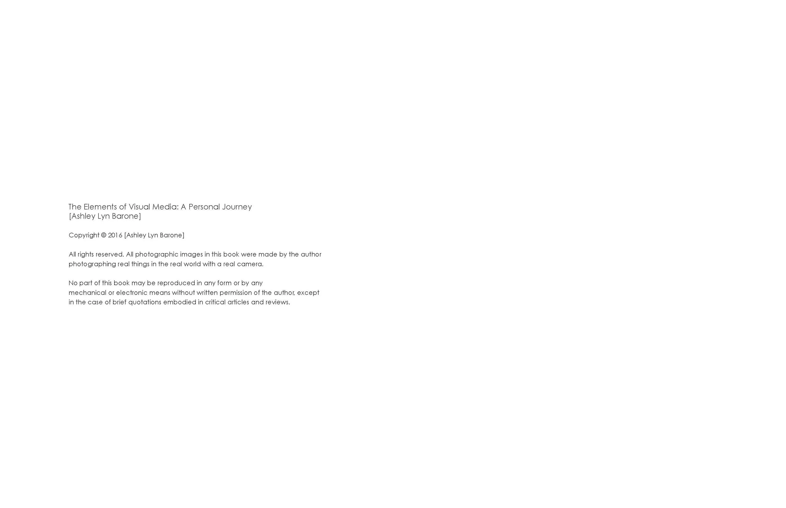 Ashley_Barone_Book Finalized_Page_02.jpg