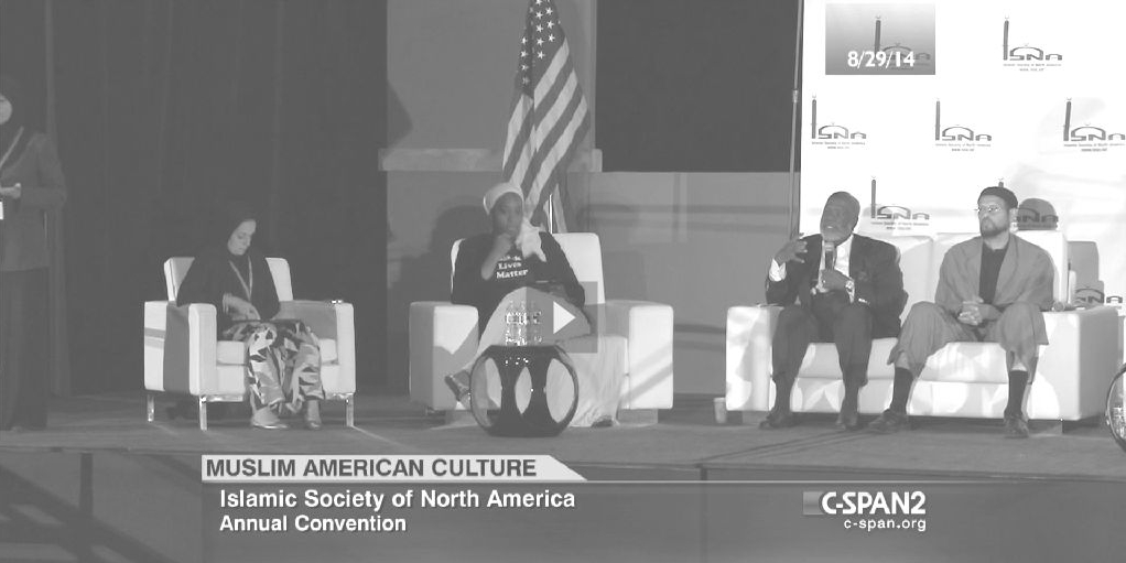 suadcspanpanel.jpg