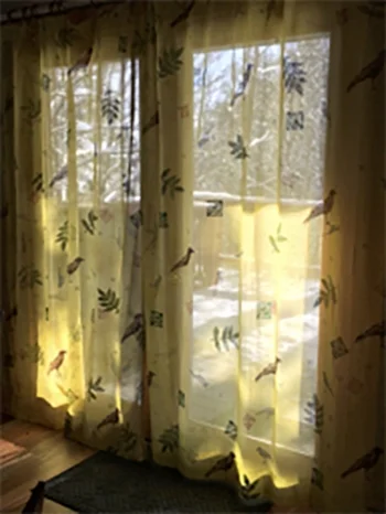 Curtains hanging in the dining room.