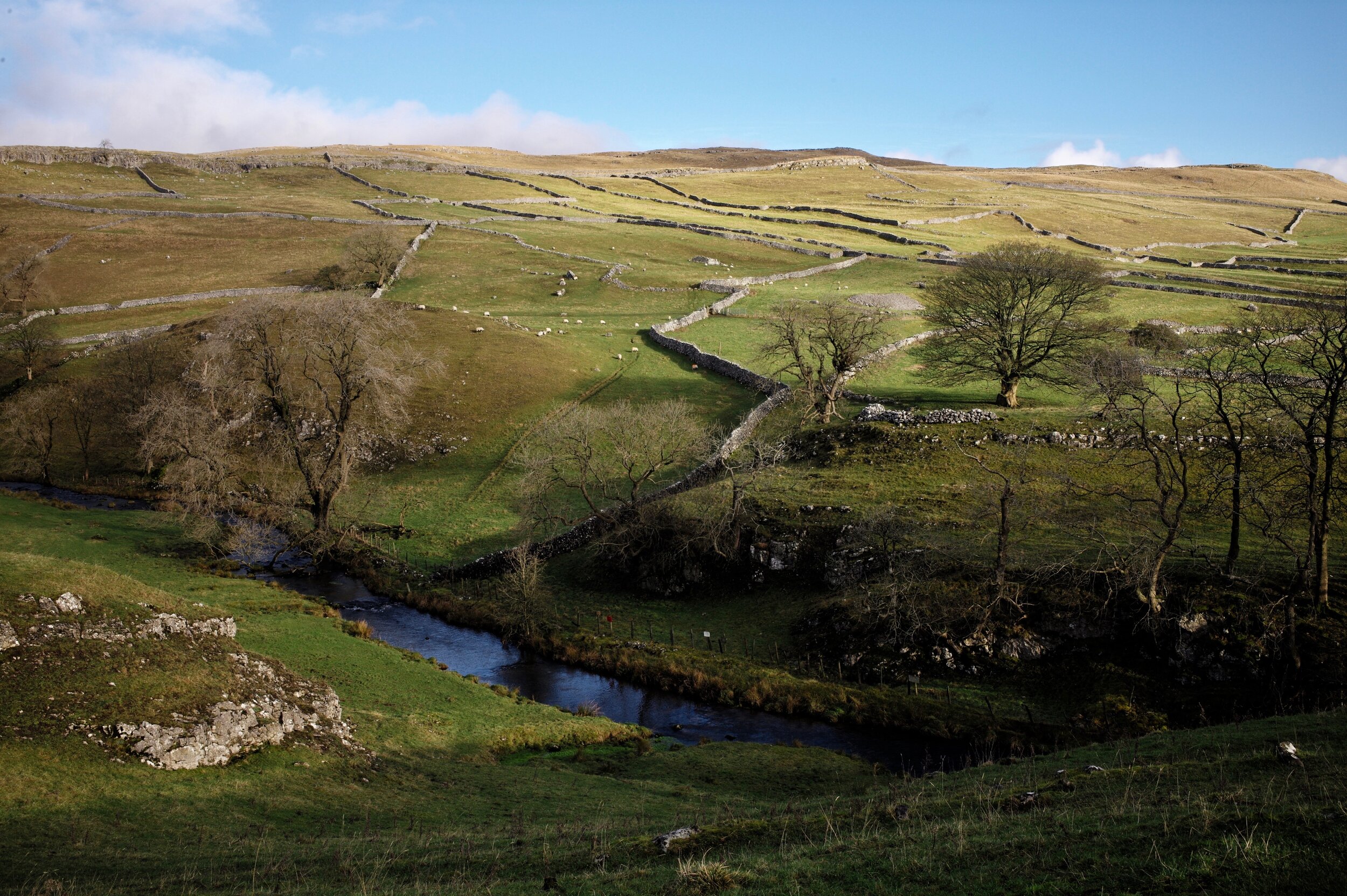 Yorkshire Dales
