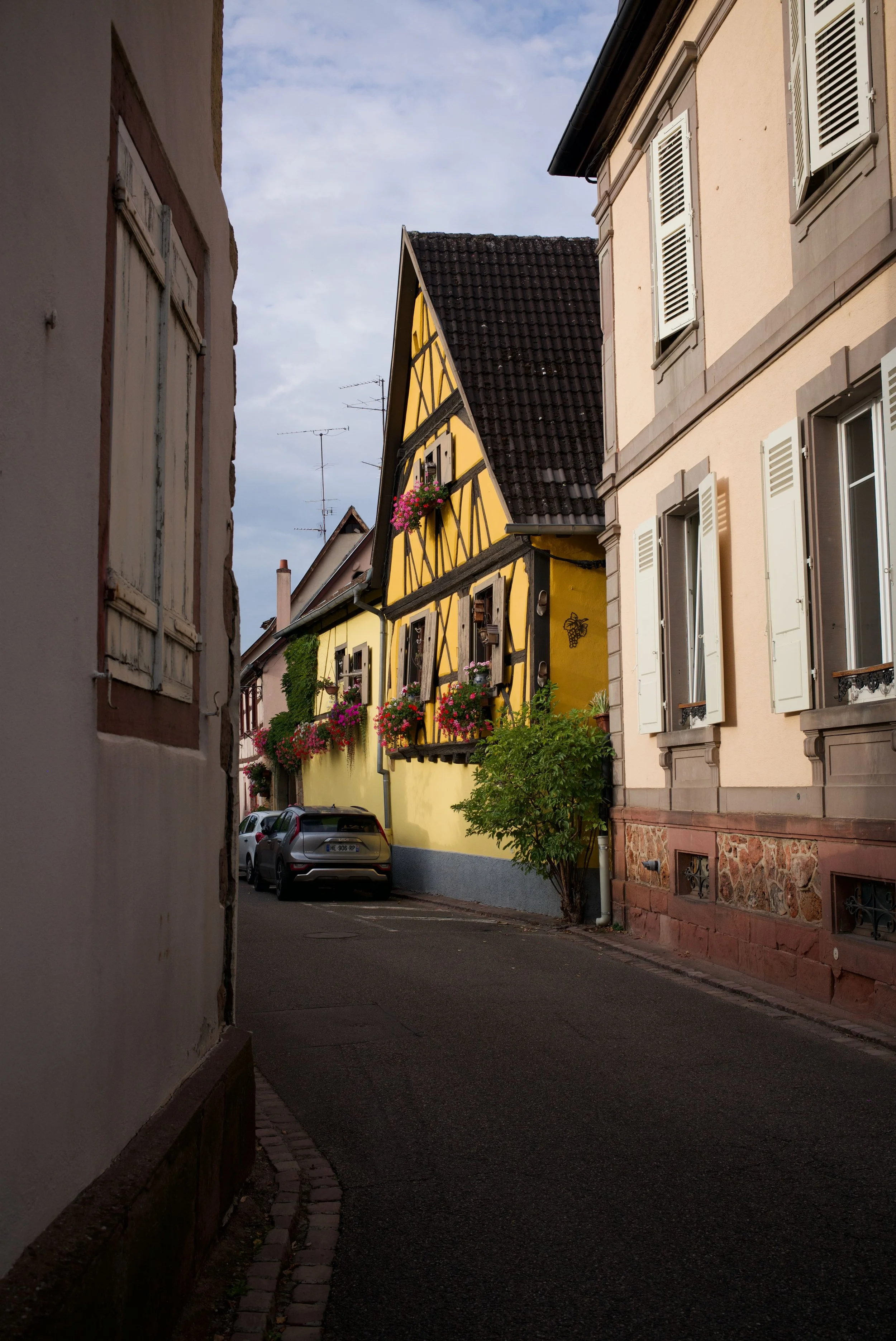 Rheinland - 21.jpeg
