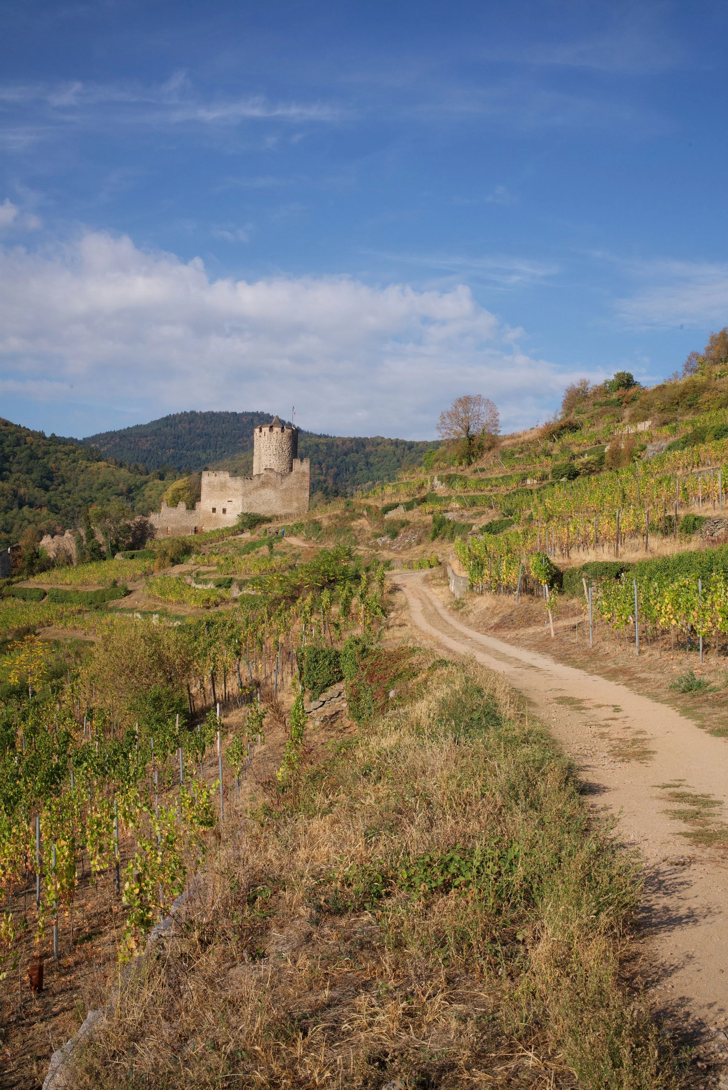 Kaysersberg, Chateau. Kaysersburg, France.