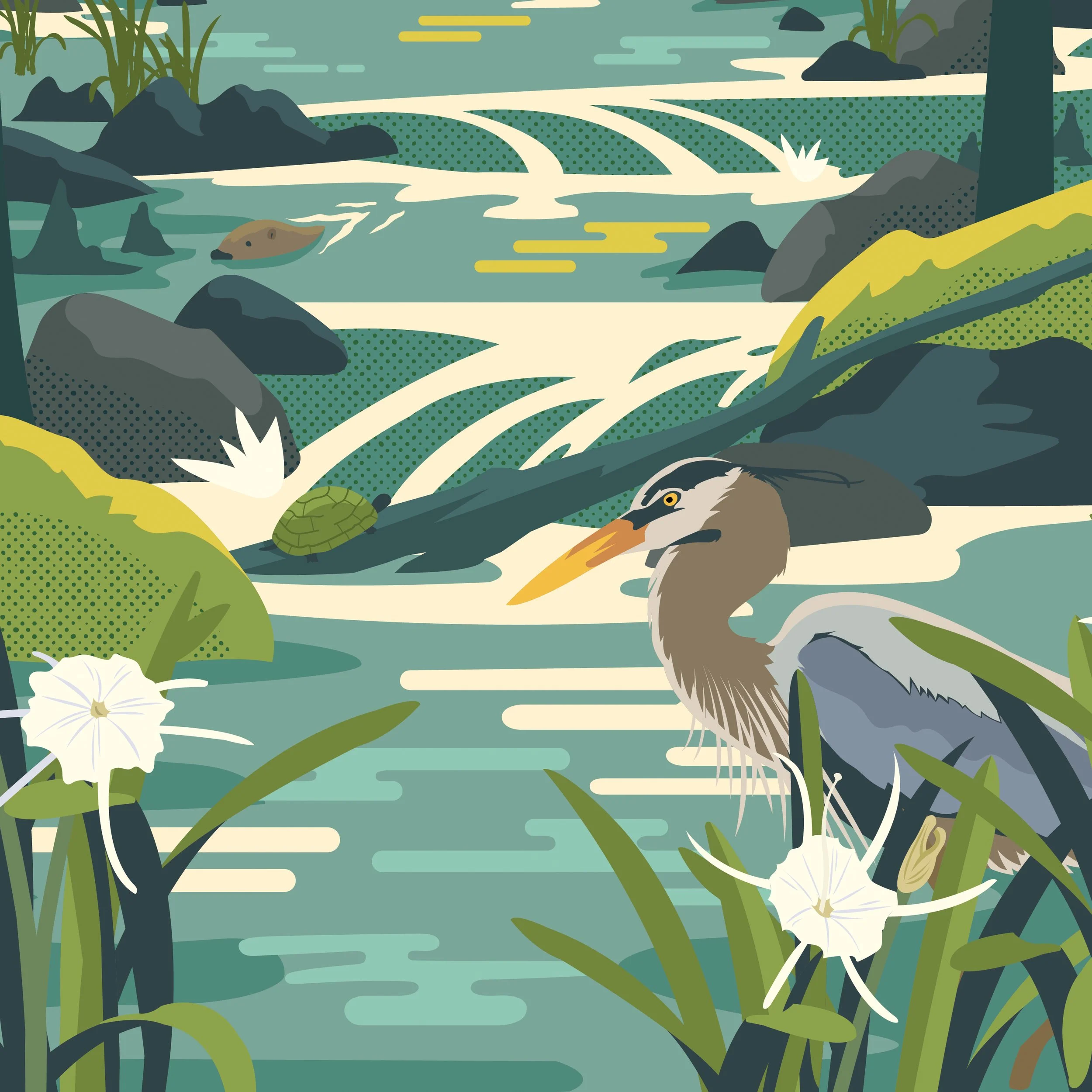 Congaree-18x24-2.jpg