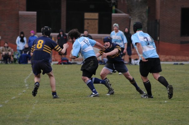 Blue Mountain Rugby