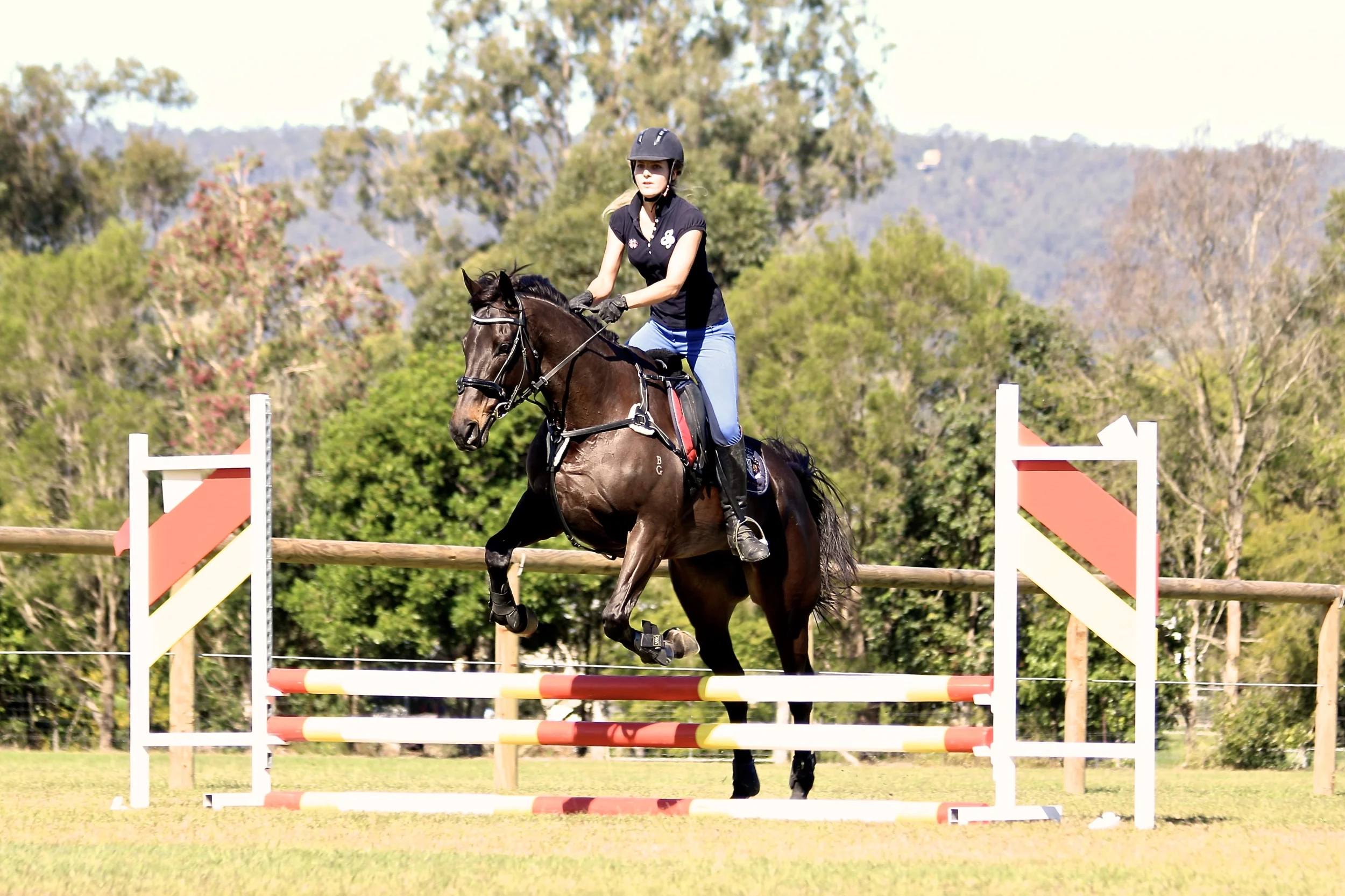 jump-club-samford-equestrian-group