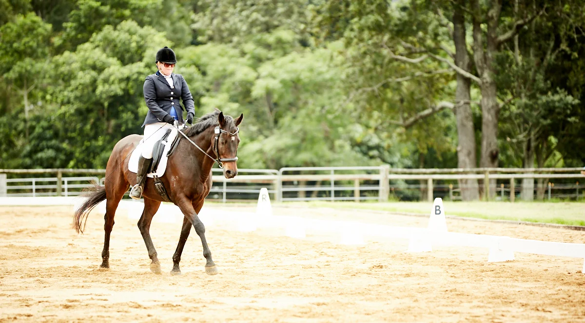 Dressage Tests Samford Equestrian Group