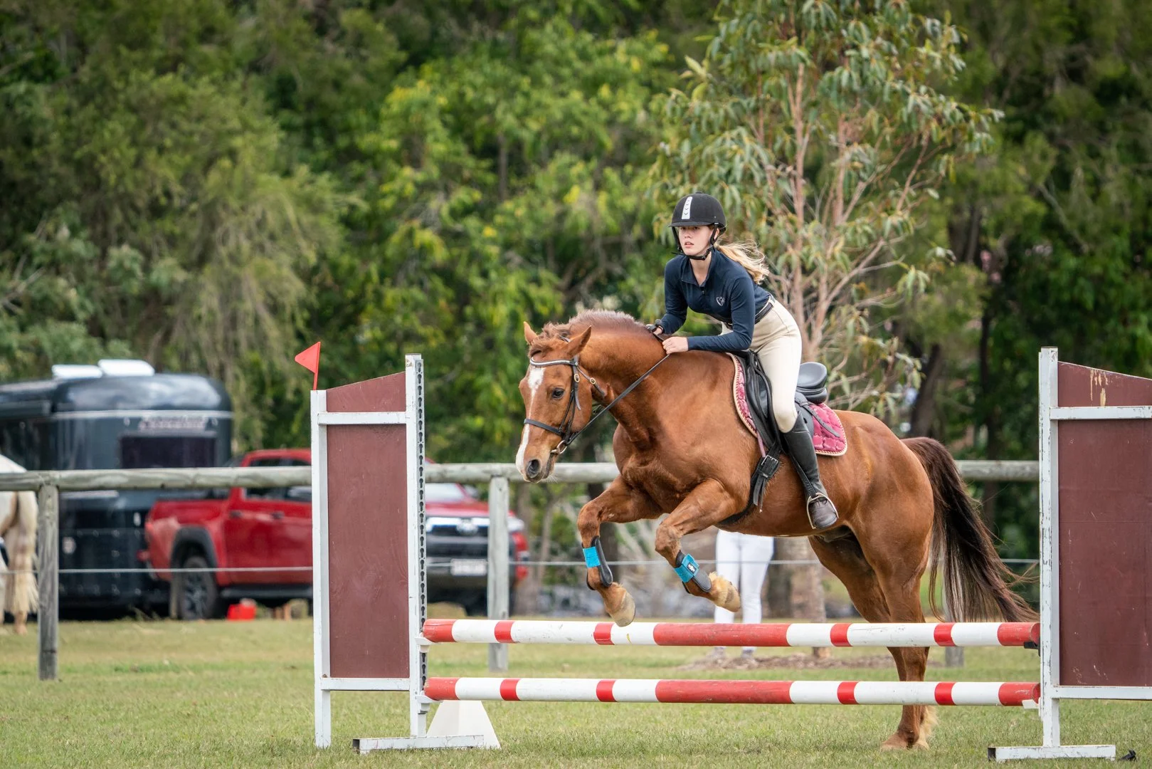 samford-equestrian-group