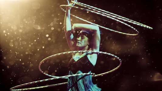 playhouse banner Sawdust for webpage.jpg