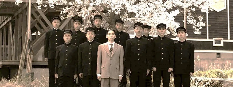 1. Yoko the Cherry Blossom Image - landscape cropped 300hi.jpg
