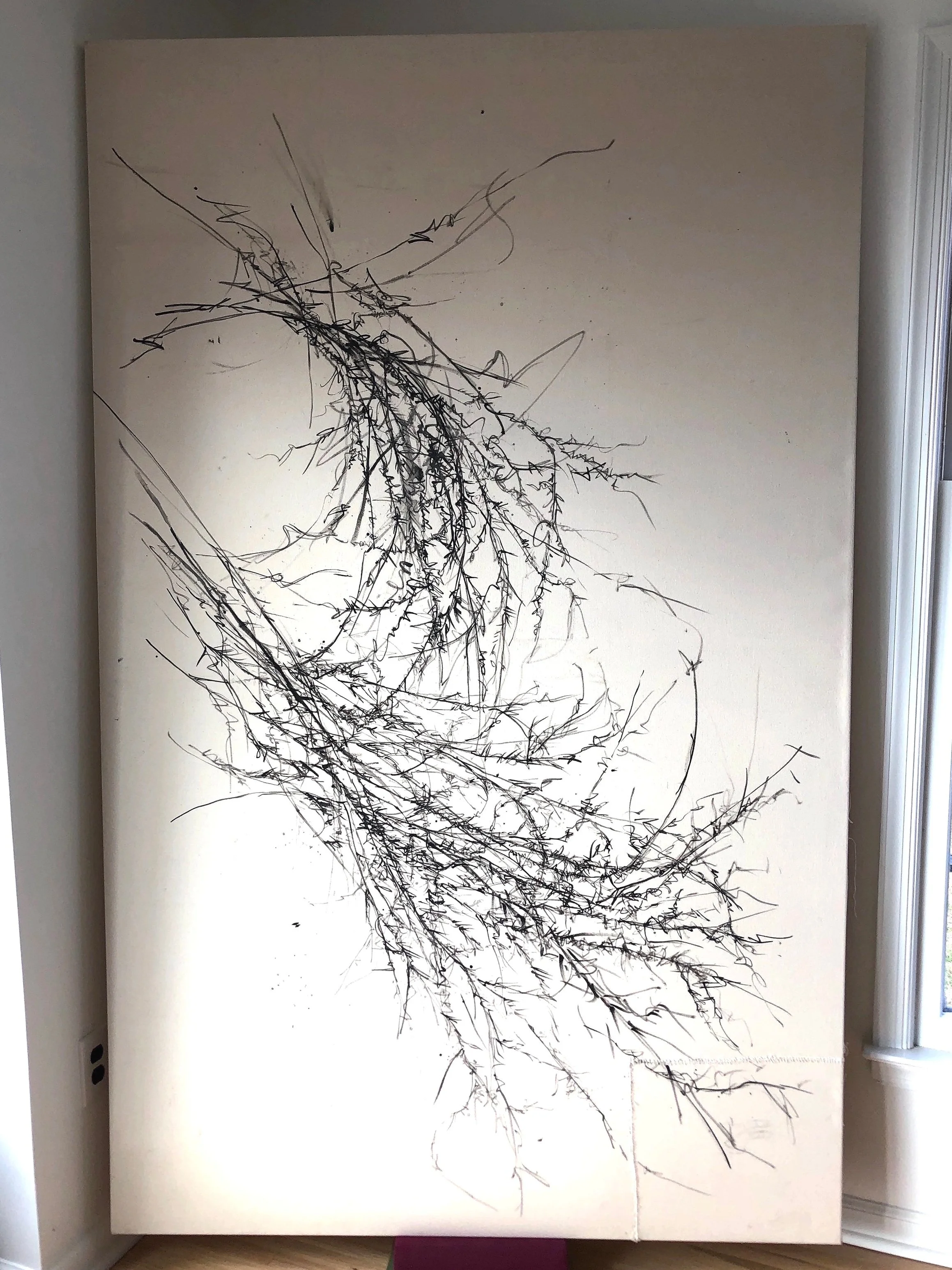 FALLEN BRANCHES