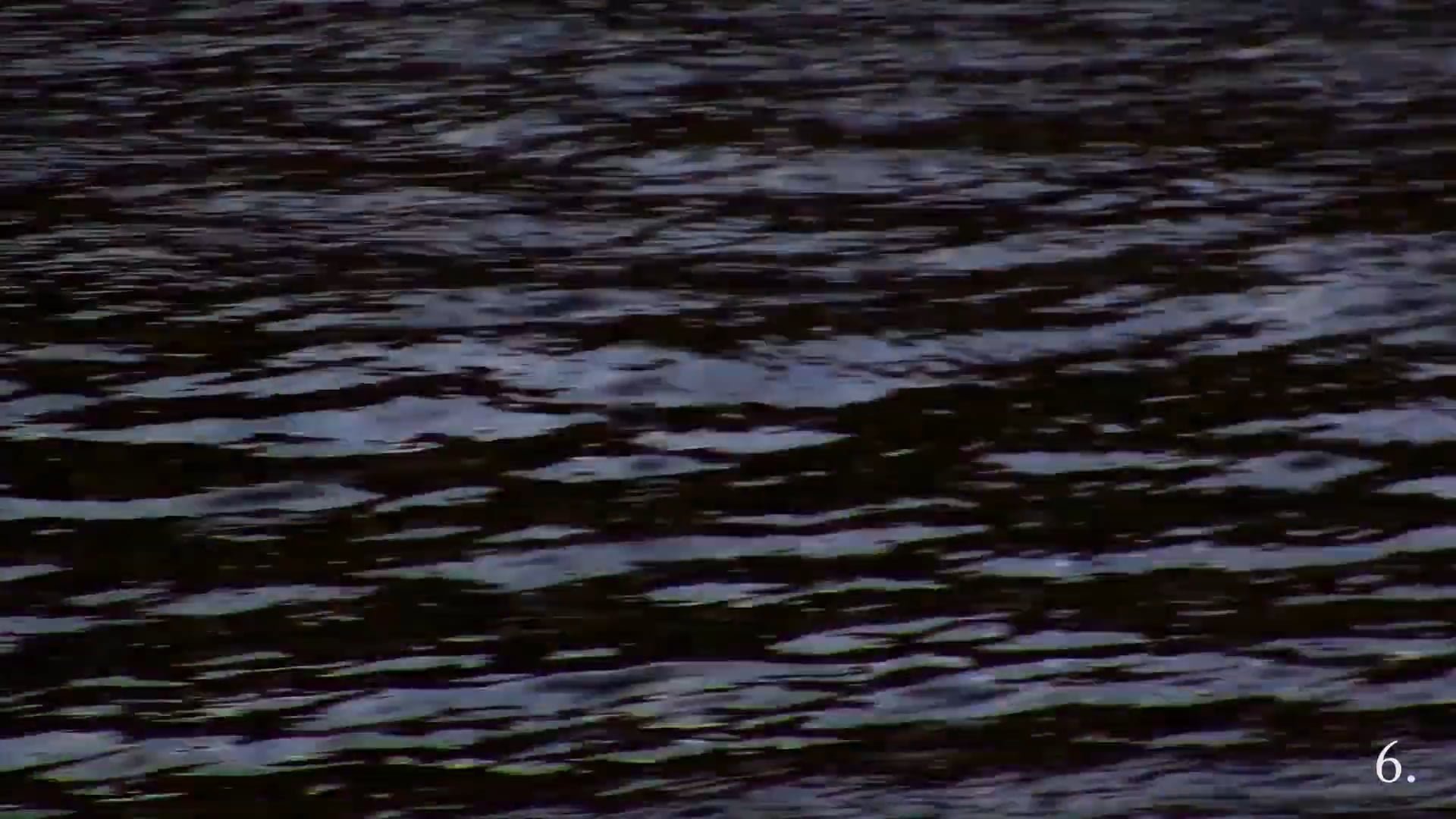 The Swan of the Problem