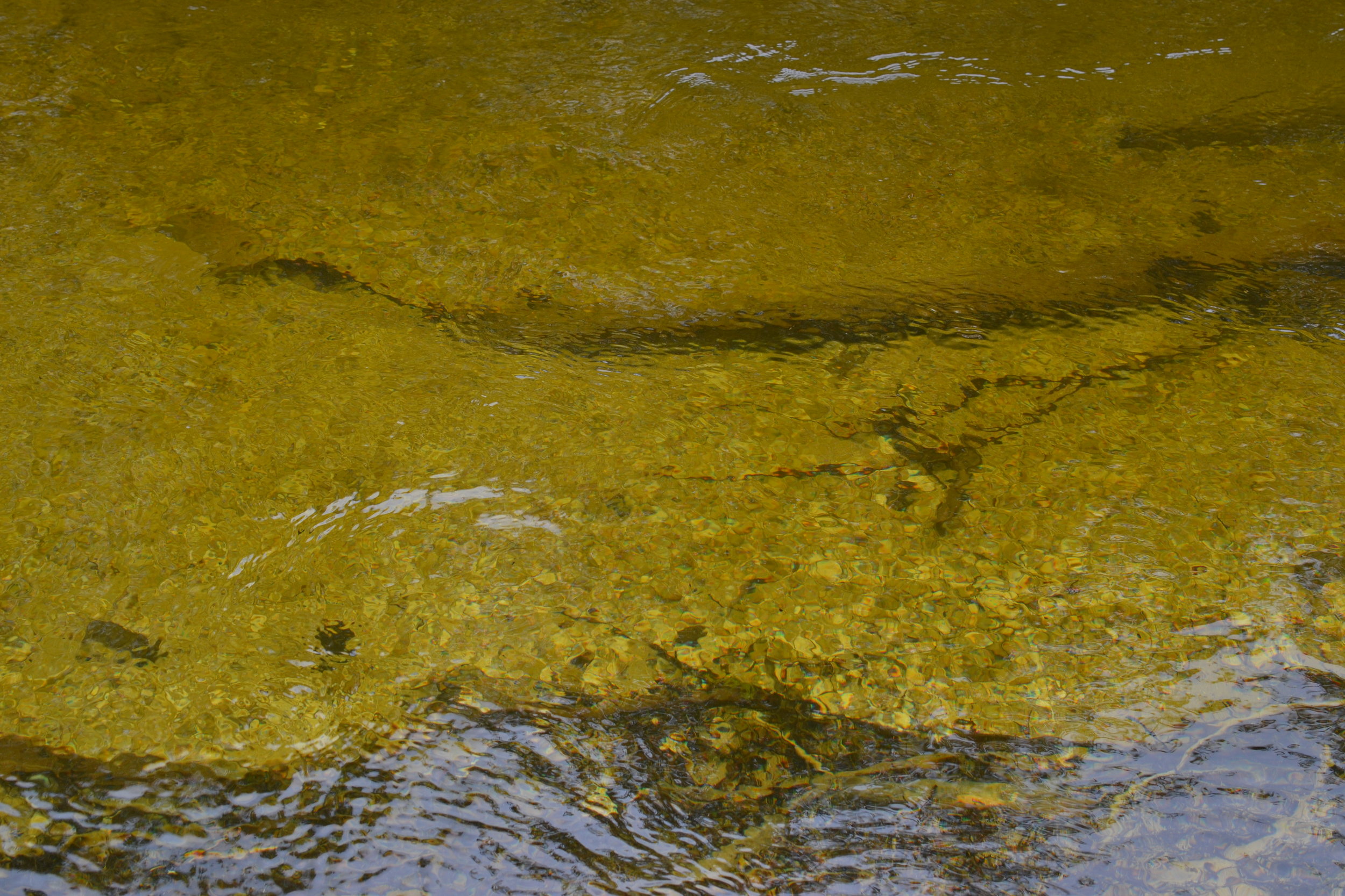 the Mooresburg water saga...and update