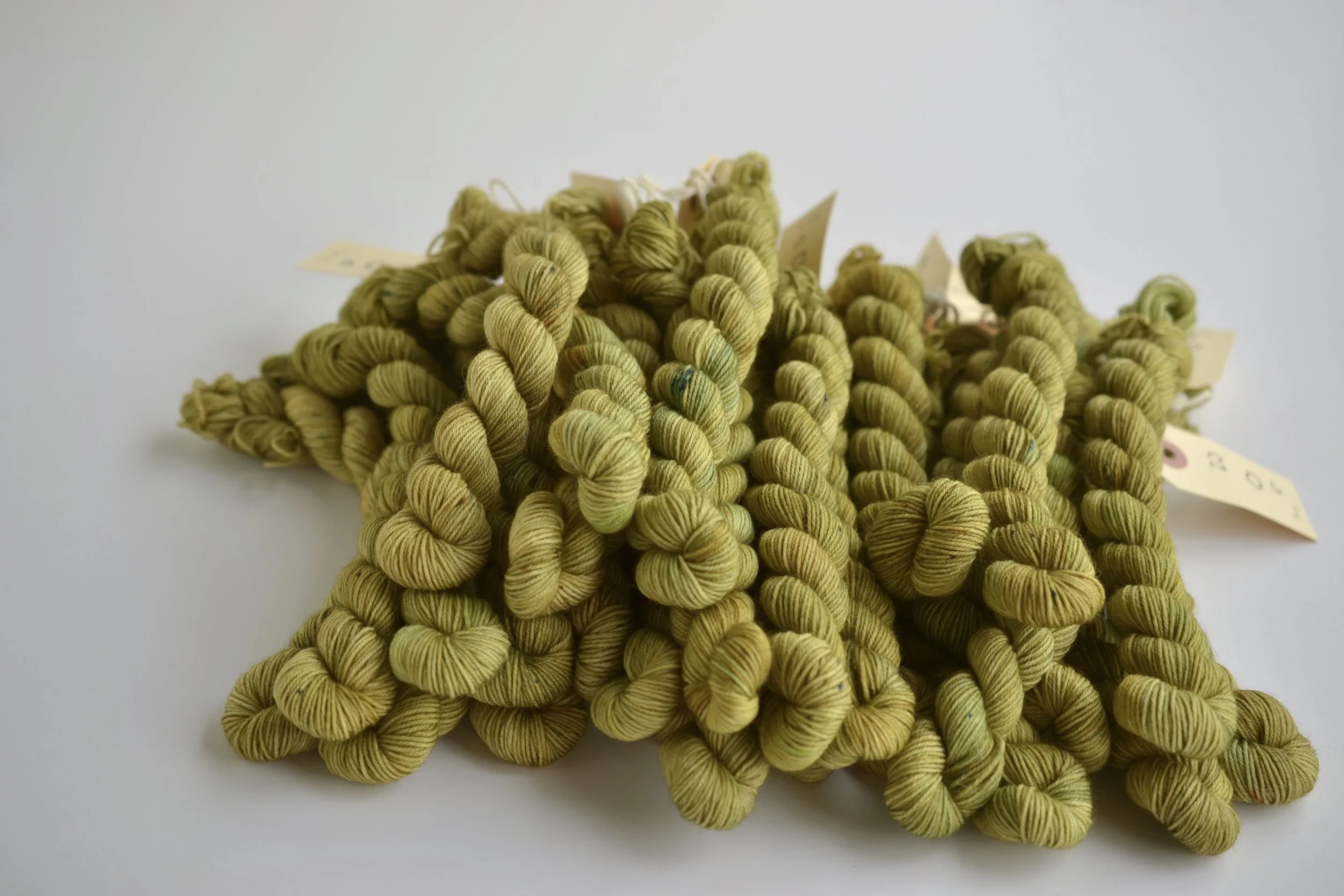 Envy - sock minis
