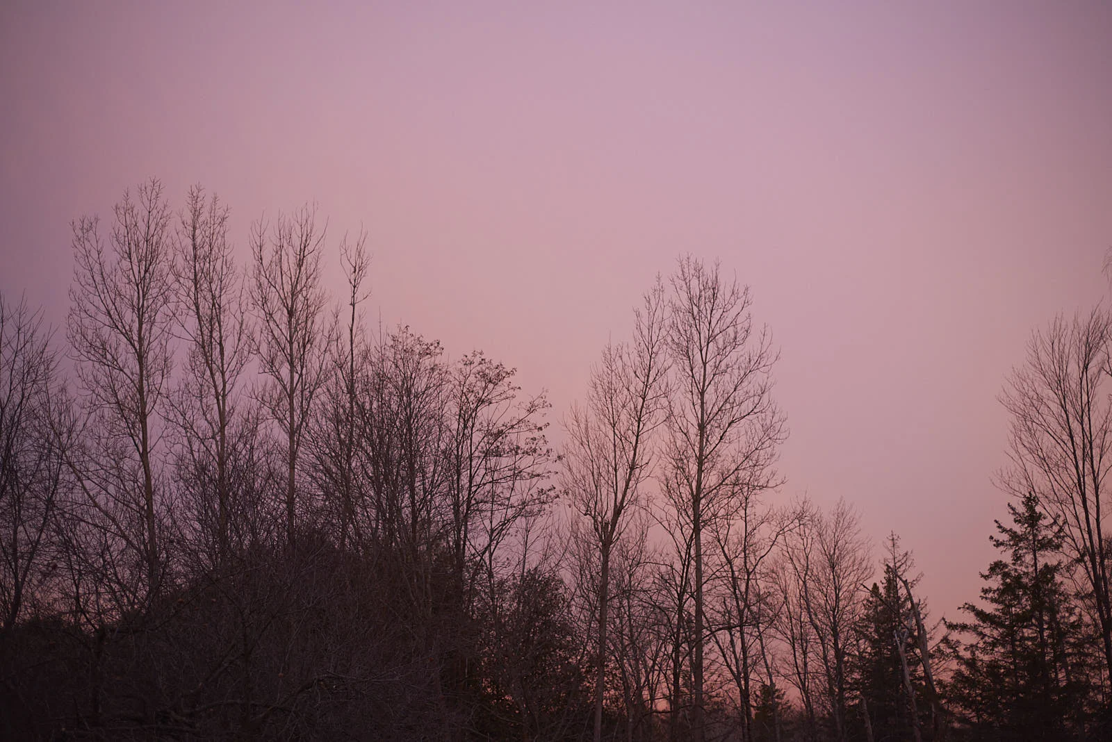 _DSC8052.jpg