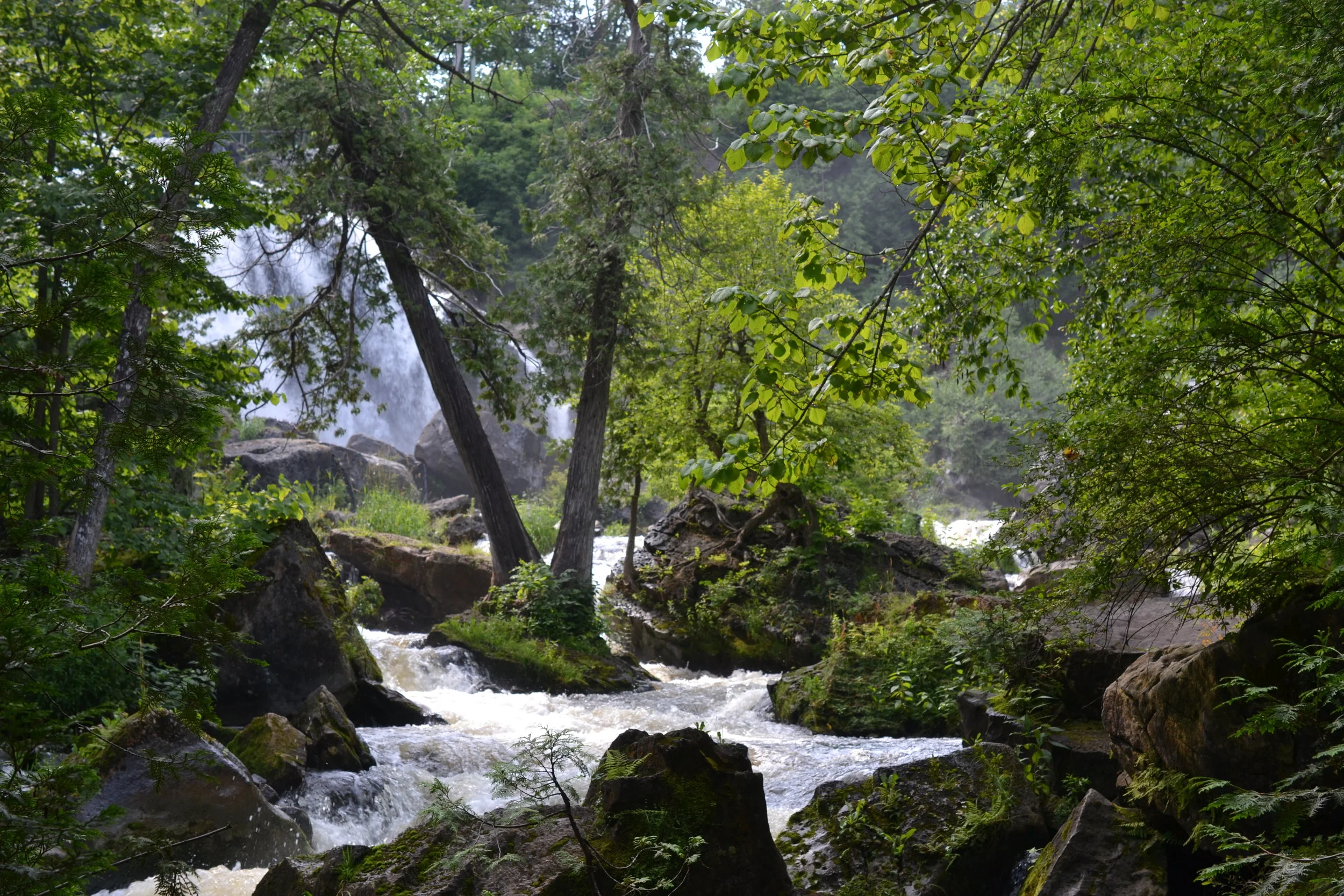 looking up towards Inglis Falls