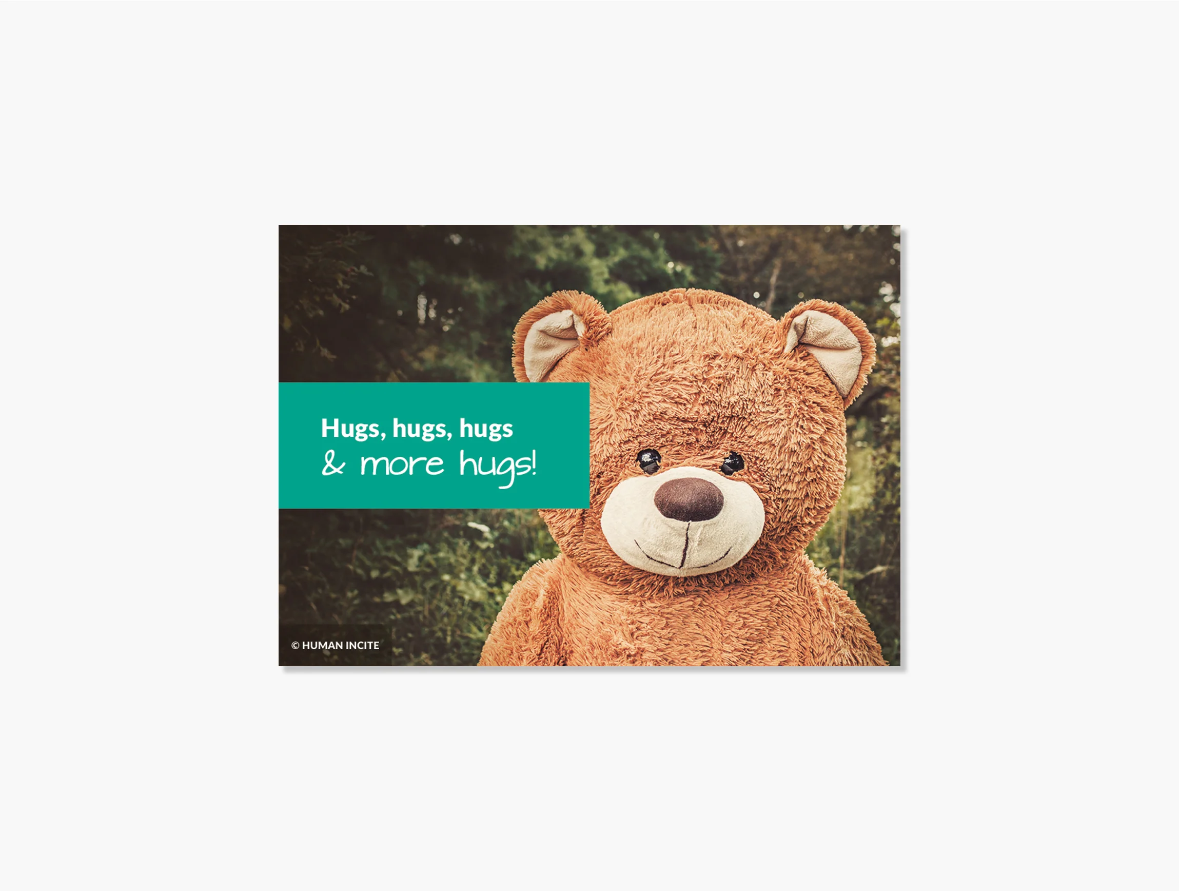 product-card-1.jpg