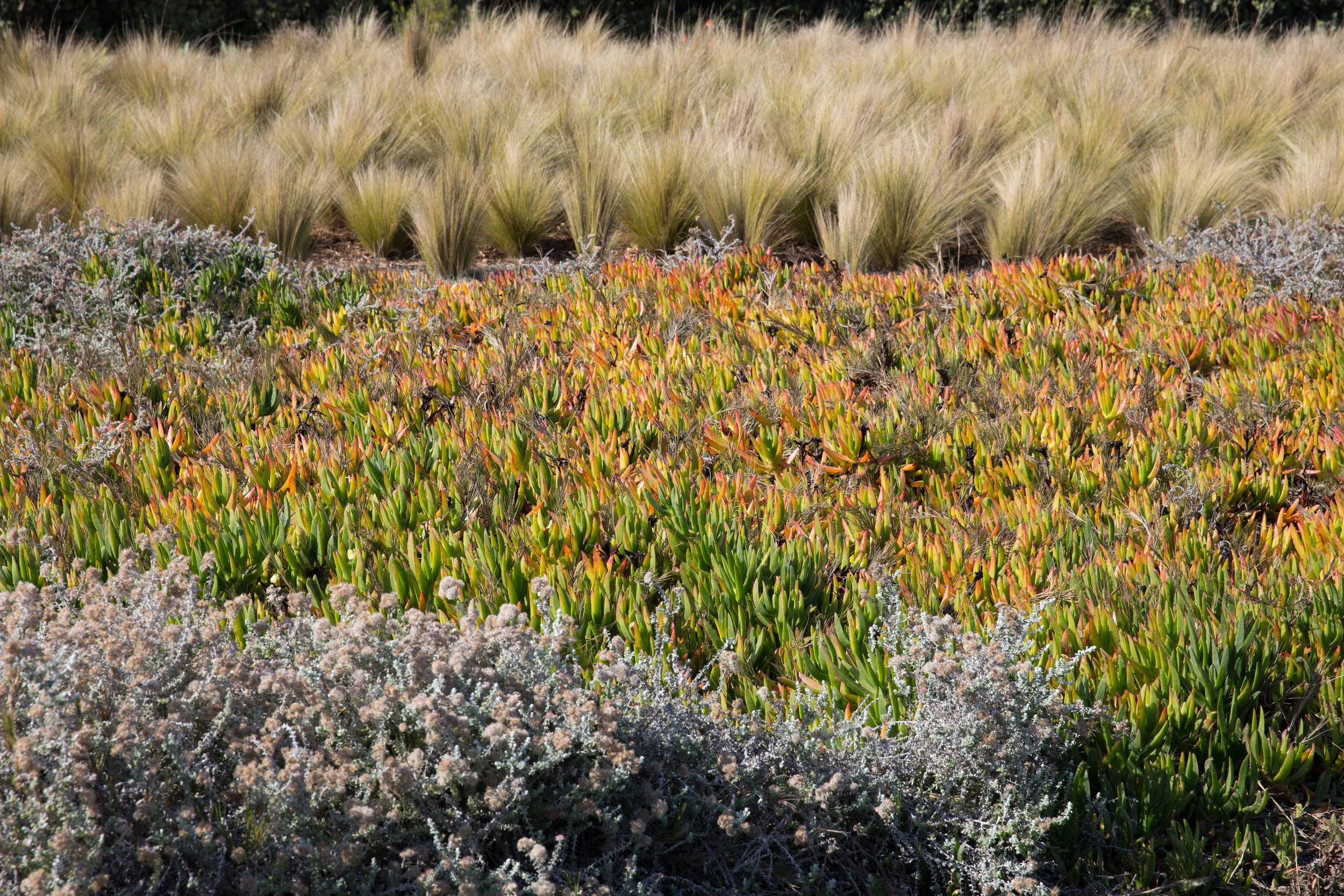 Sandpoint — Steve Hanson Landscaping