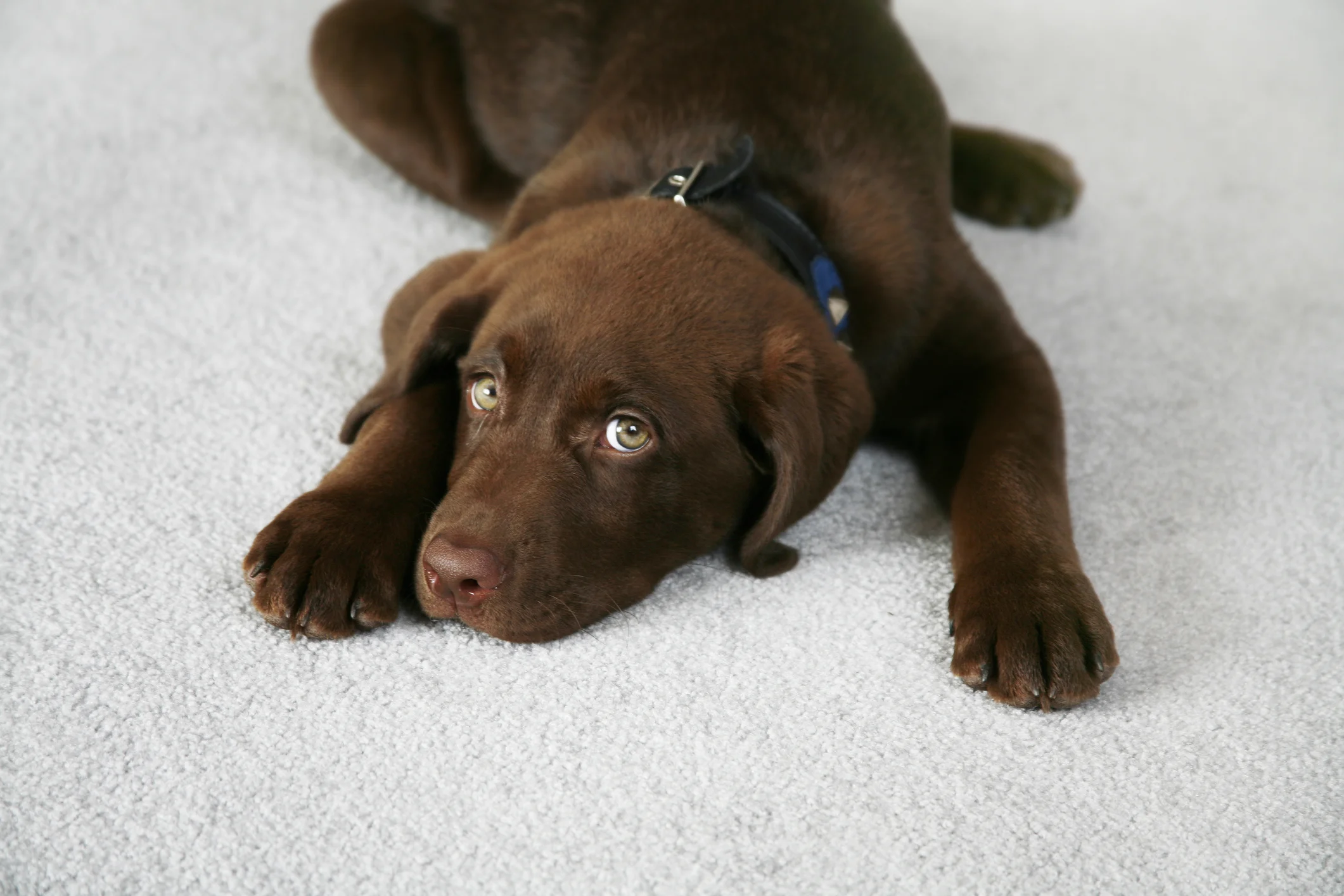 Photo by ScantyNebula/iStock / Getty Images